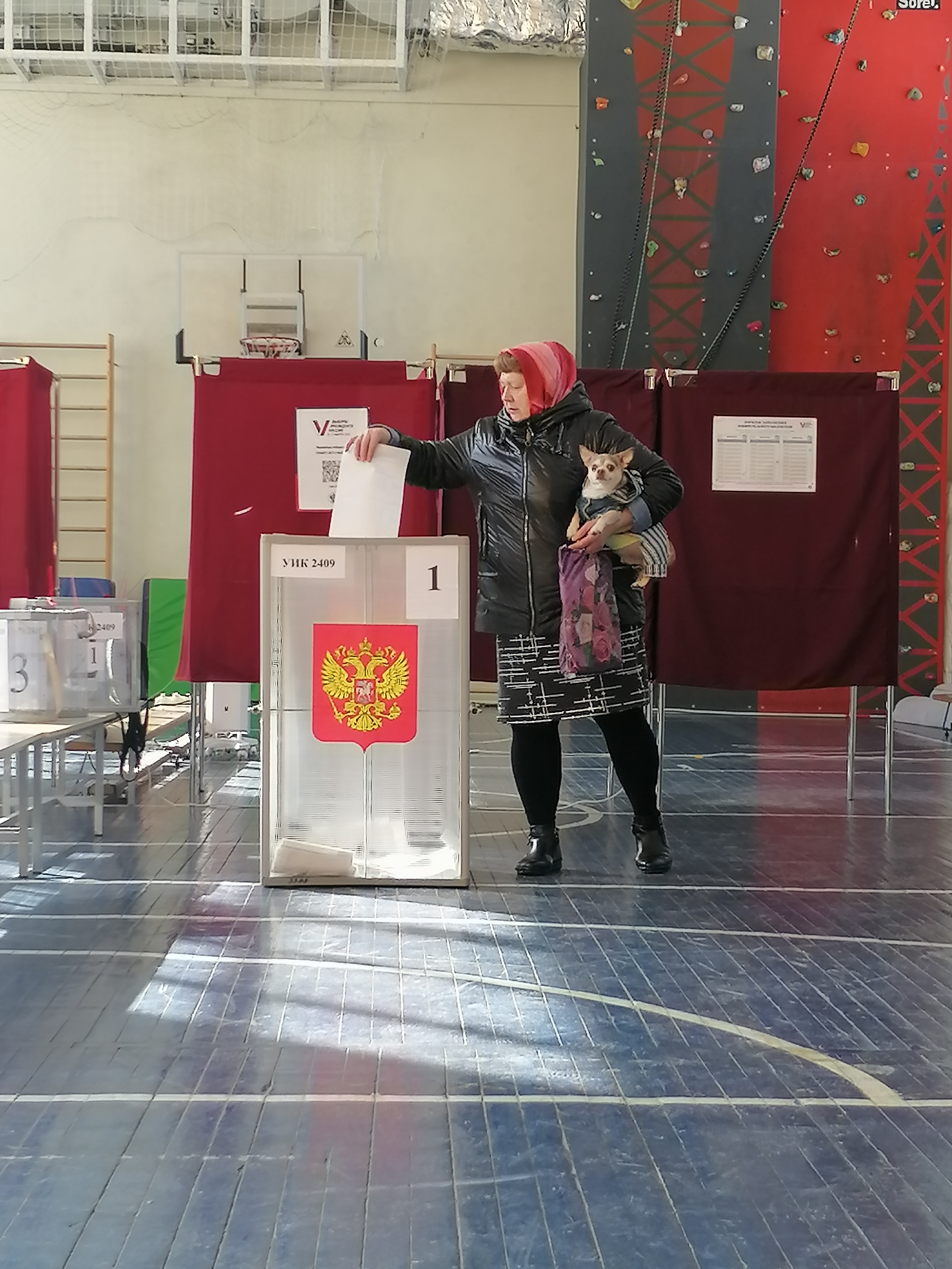 Сообщение наблюдателя — УИК №2409, Нижегородская область