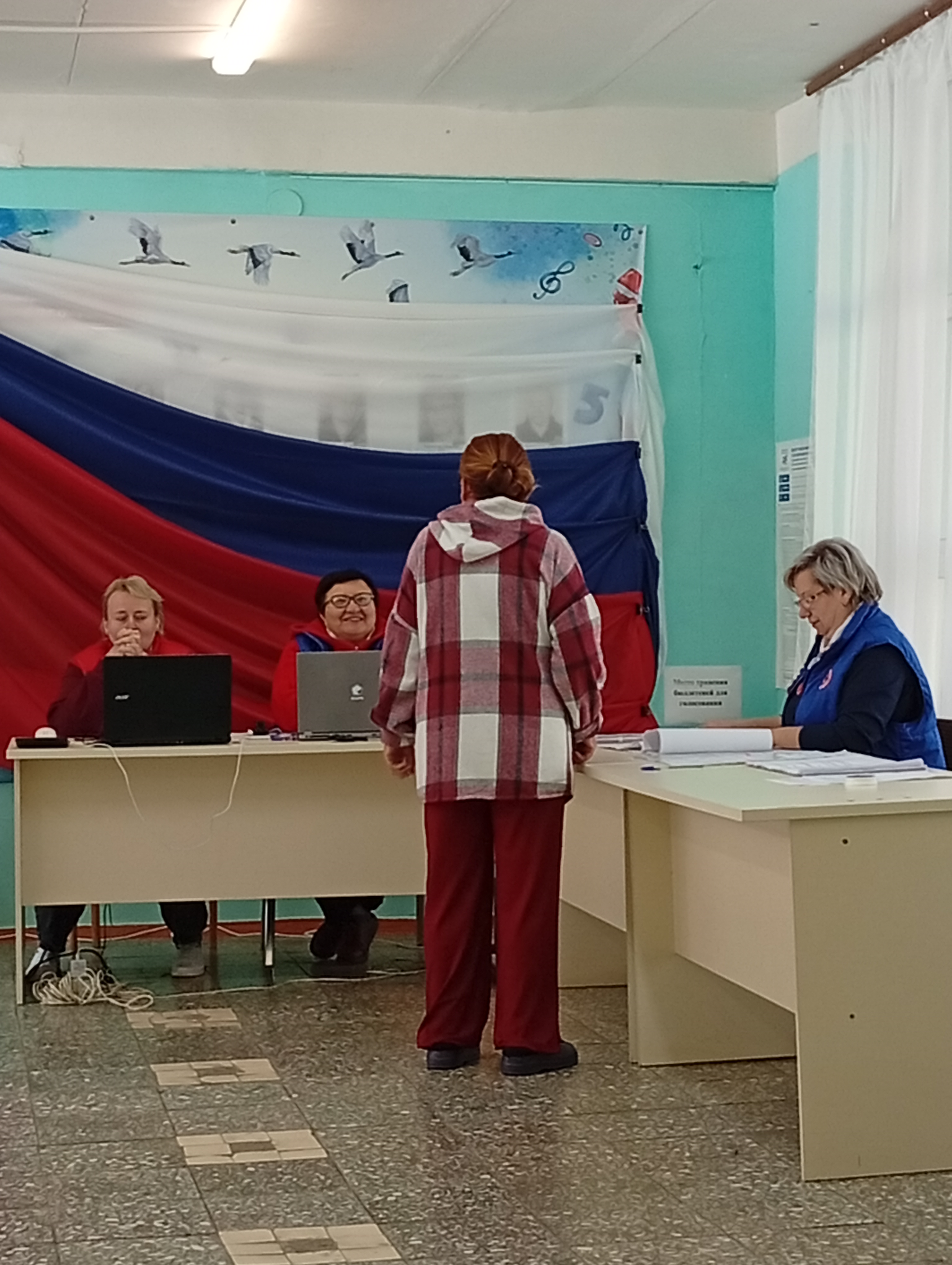Сообщение — УИК №689, Московская область