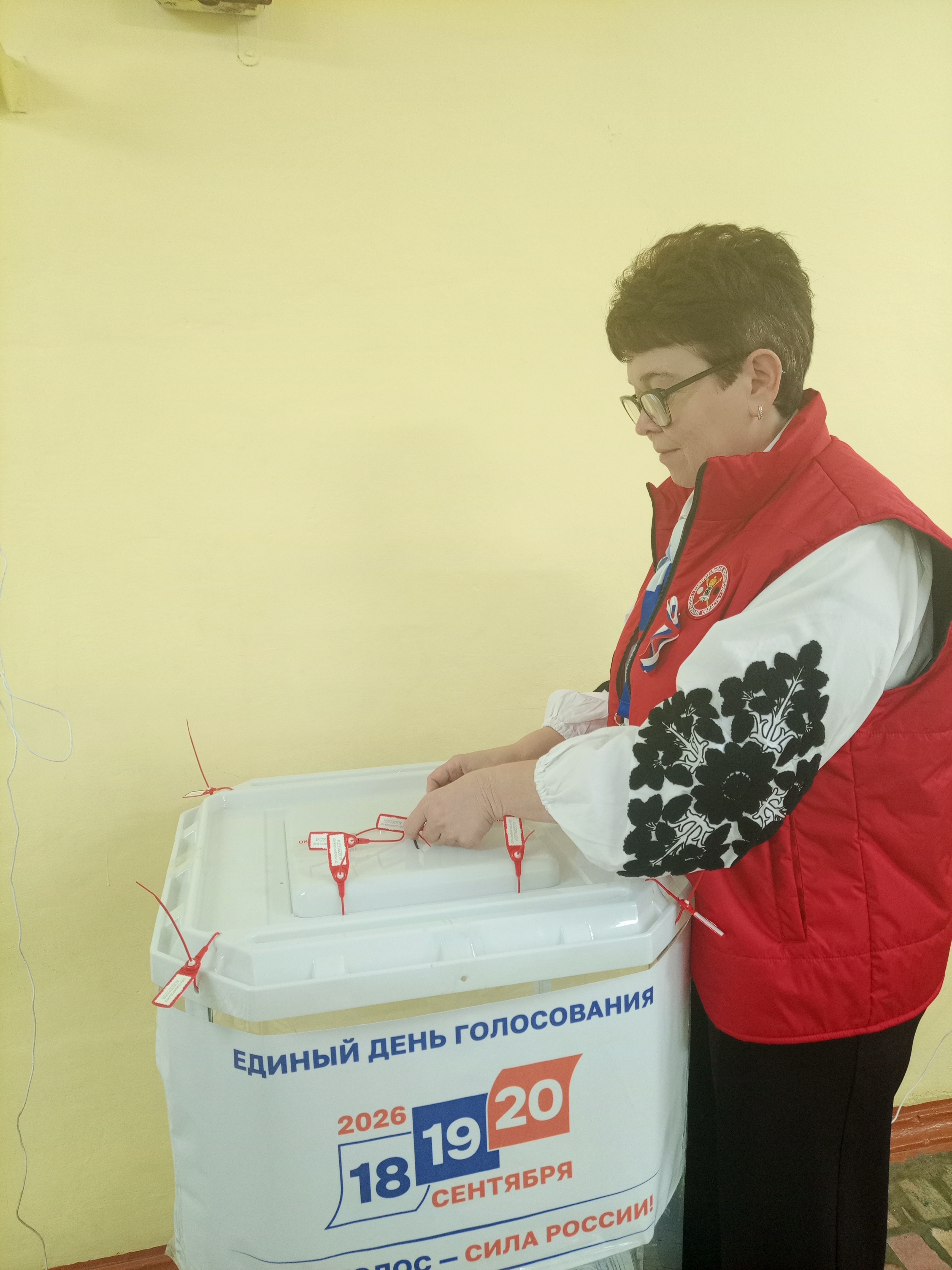 Сообщение — УИК №4066, Московская область