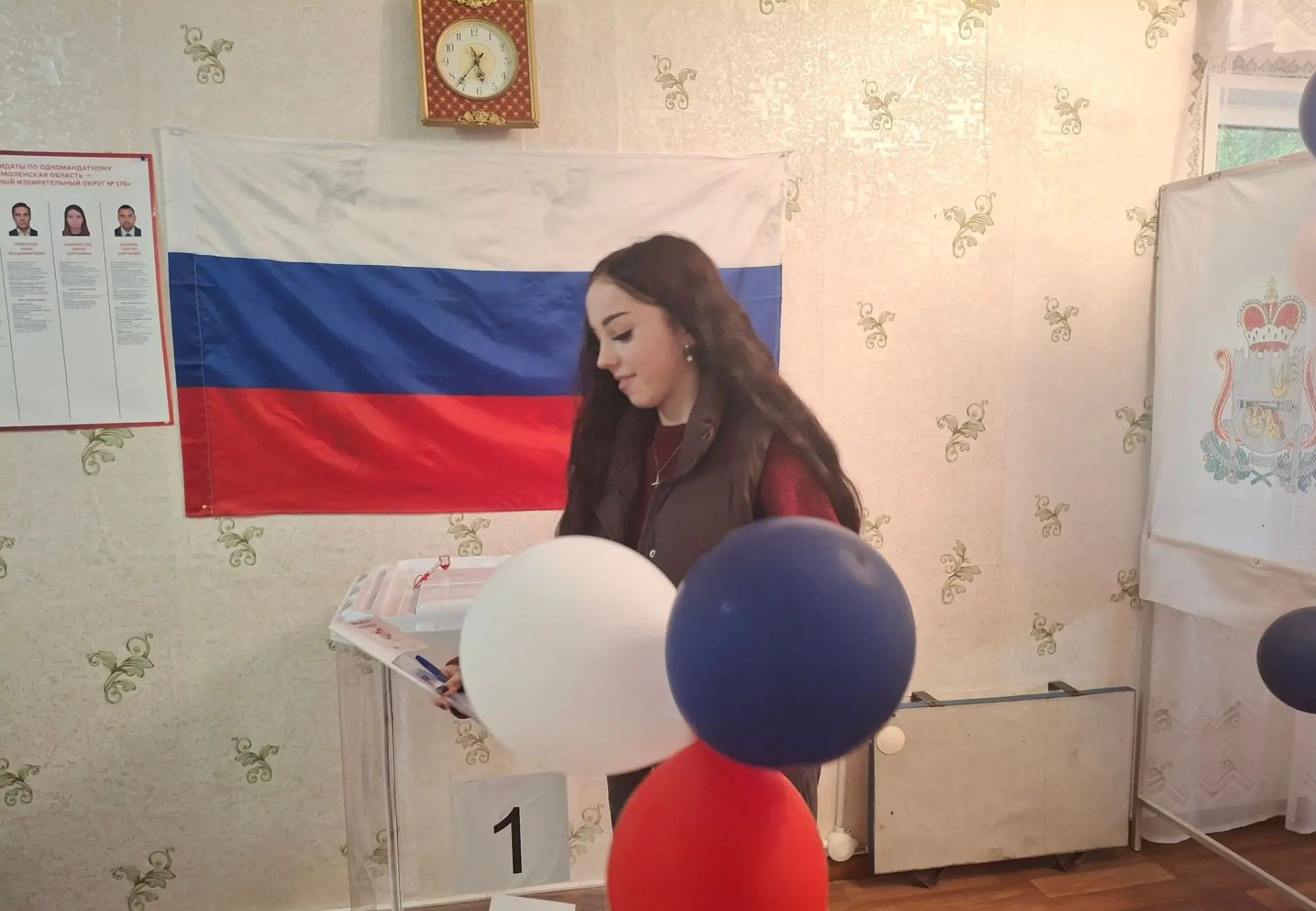 Сообщение — УИК №658, Смоленская область