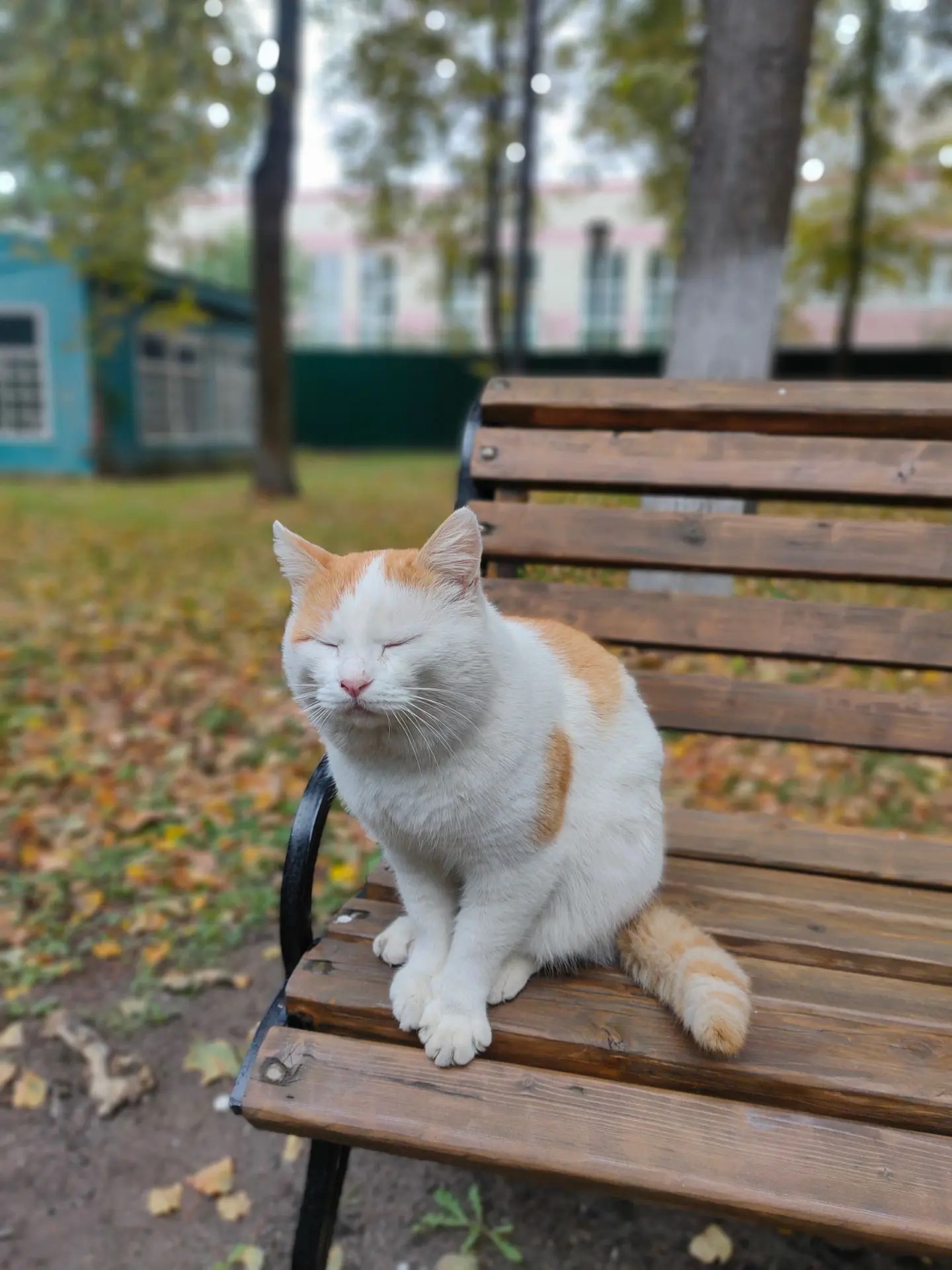Сообщение — УИК №1535, Московская область