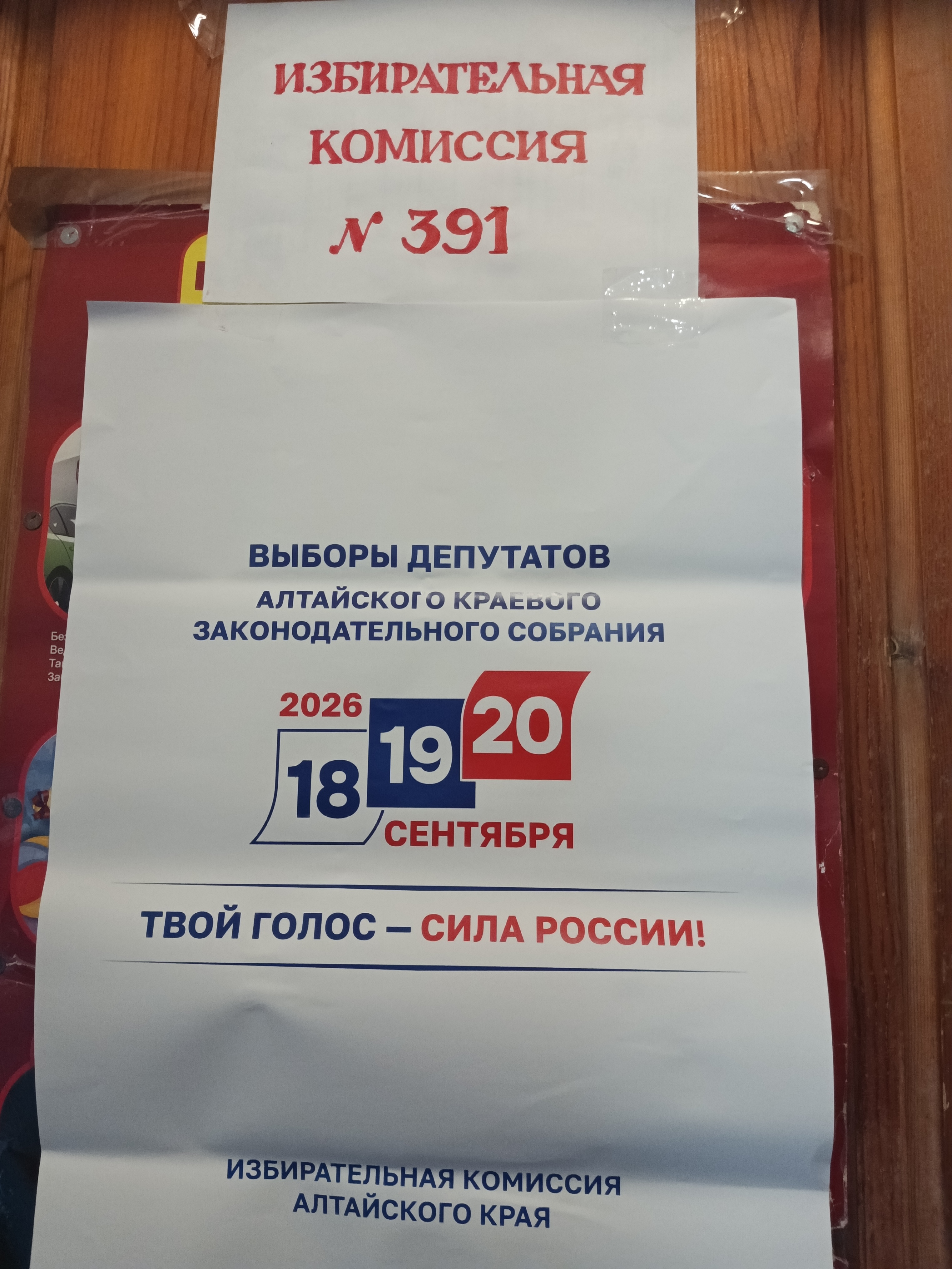 Сообщение — УИК №391, Алтайский край