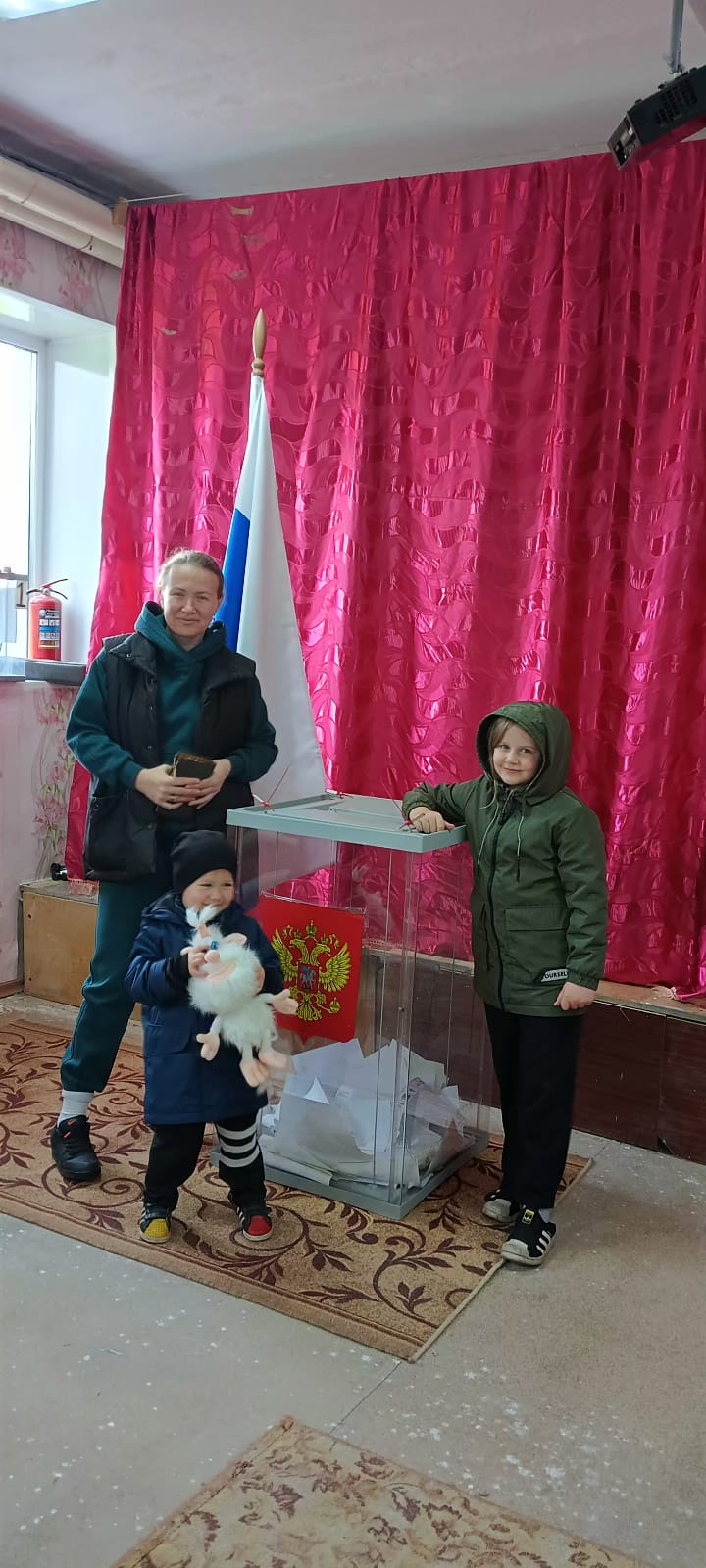 Сообщение наблюдателя — УИК №1246, Новосибирская область