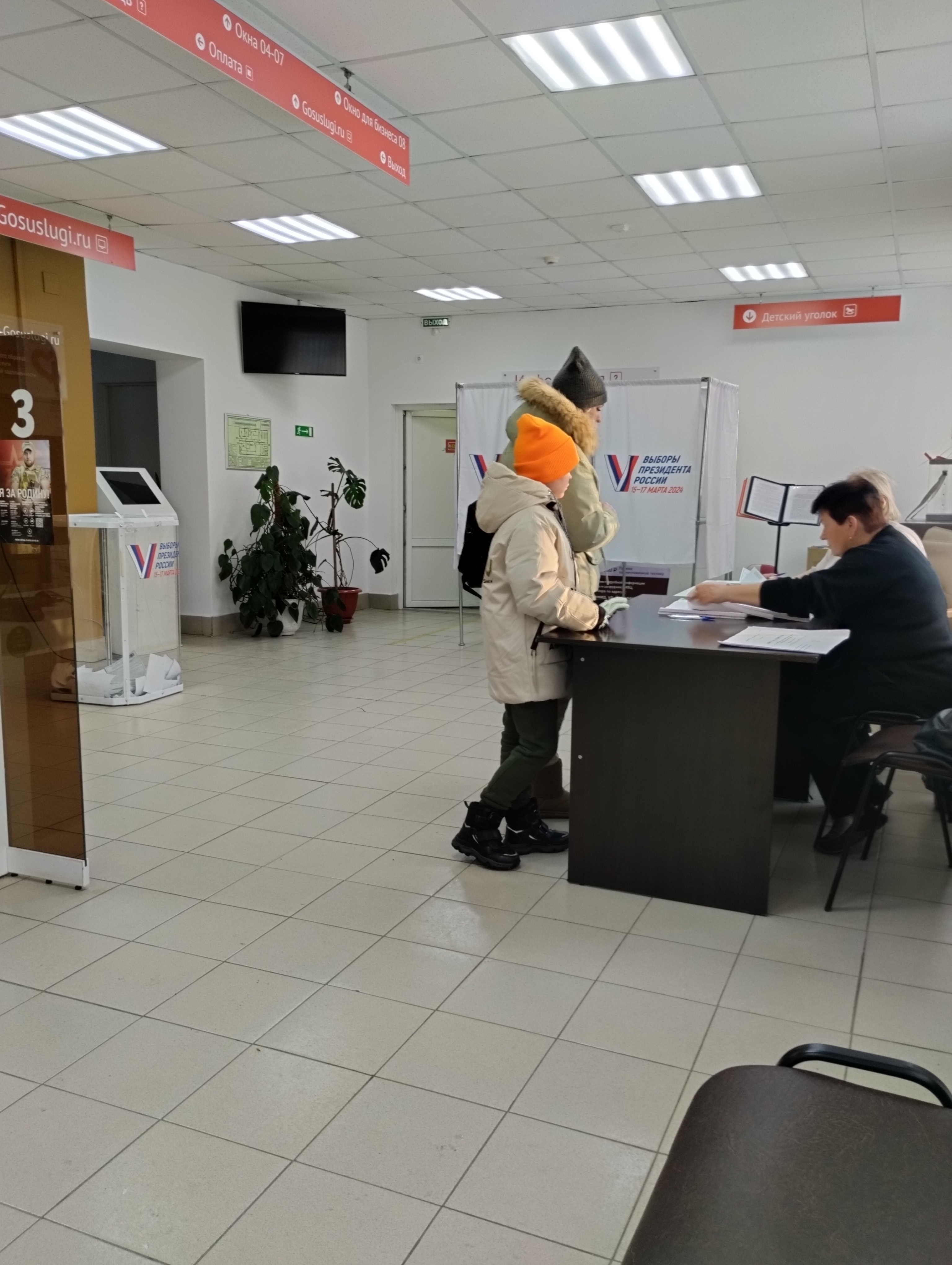 Сообщение наблюдателя — УИК №294, Владимирская область