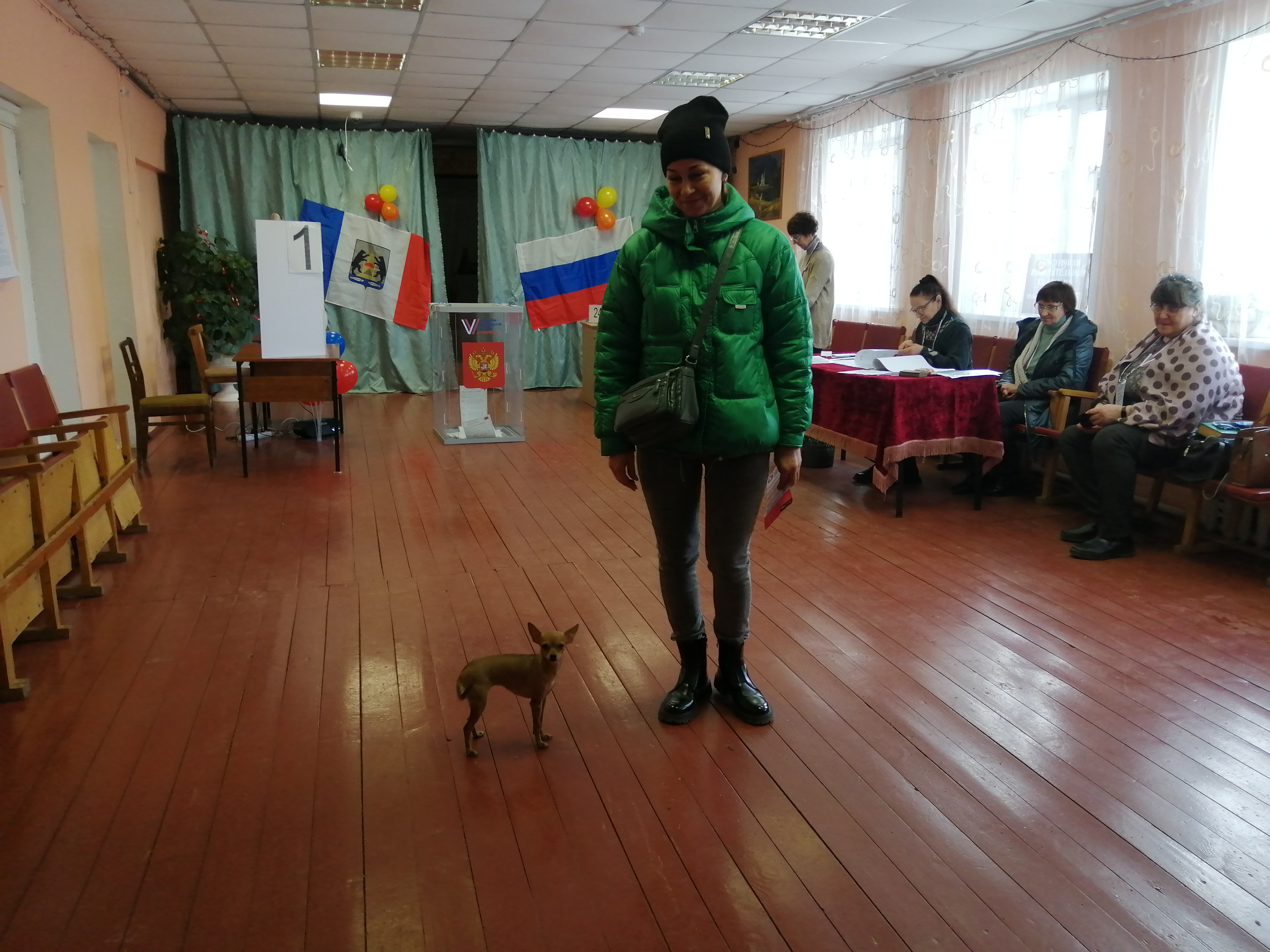 Сообщение наблюдателя — УИК №241, Новгородская область