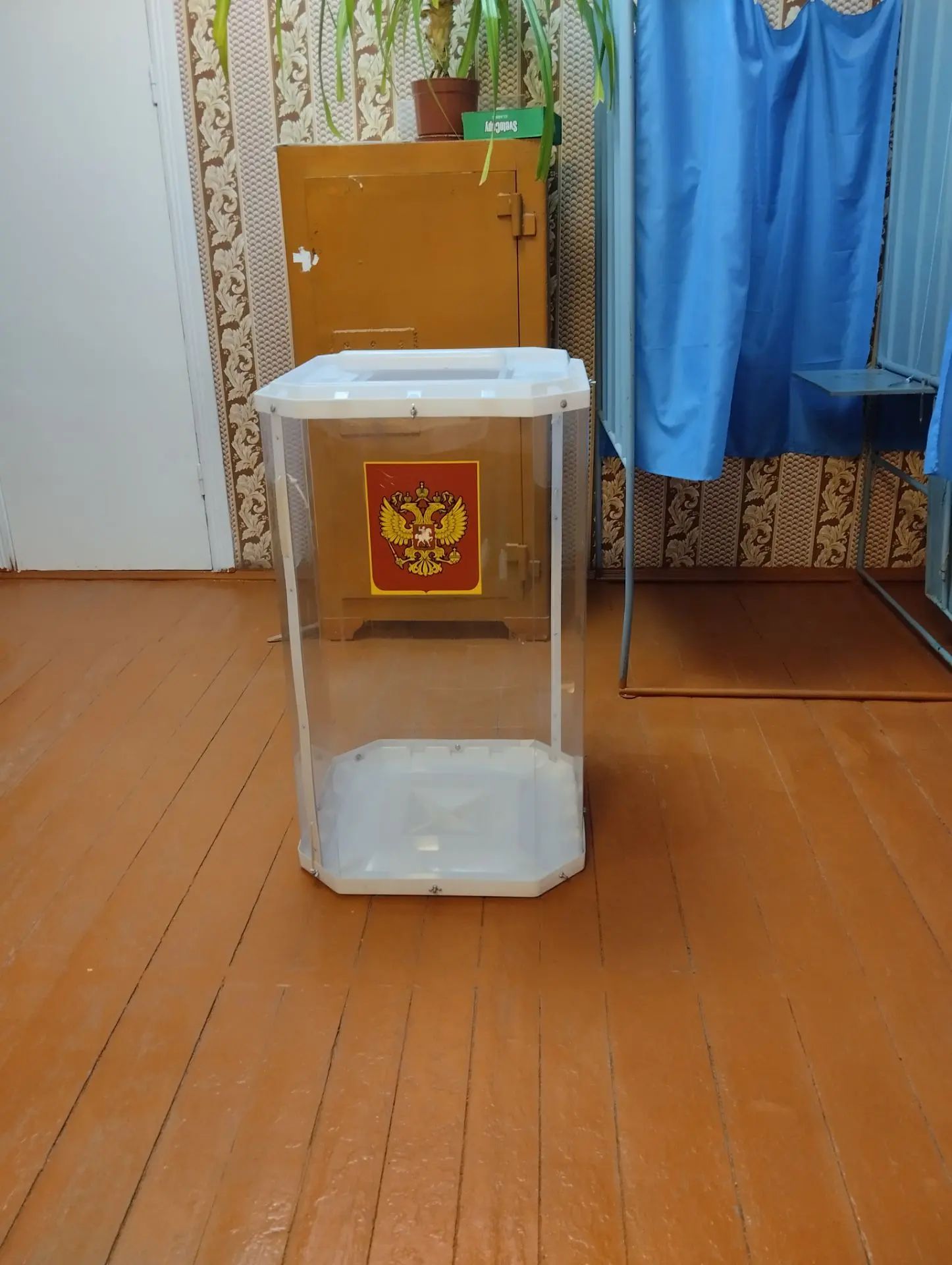 Сообщение — УИК №307, Воронежская область