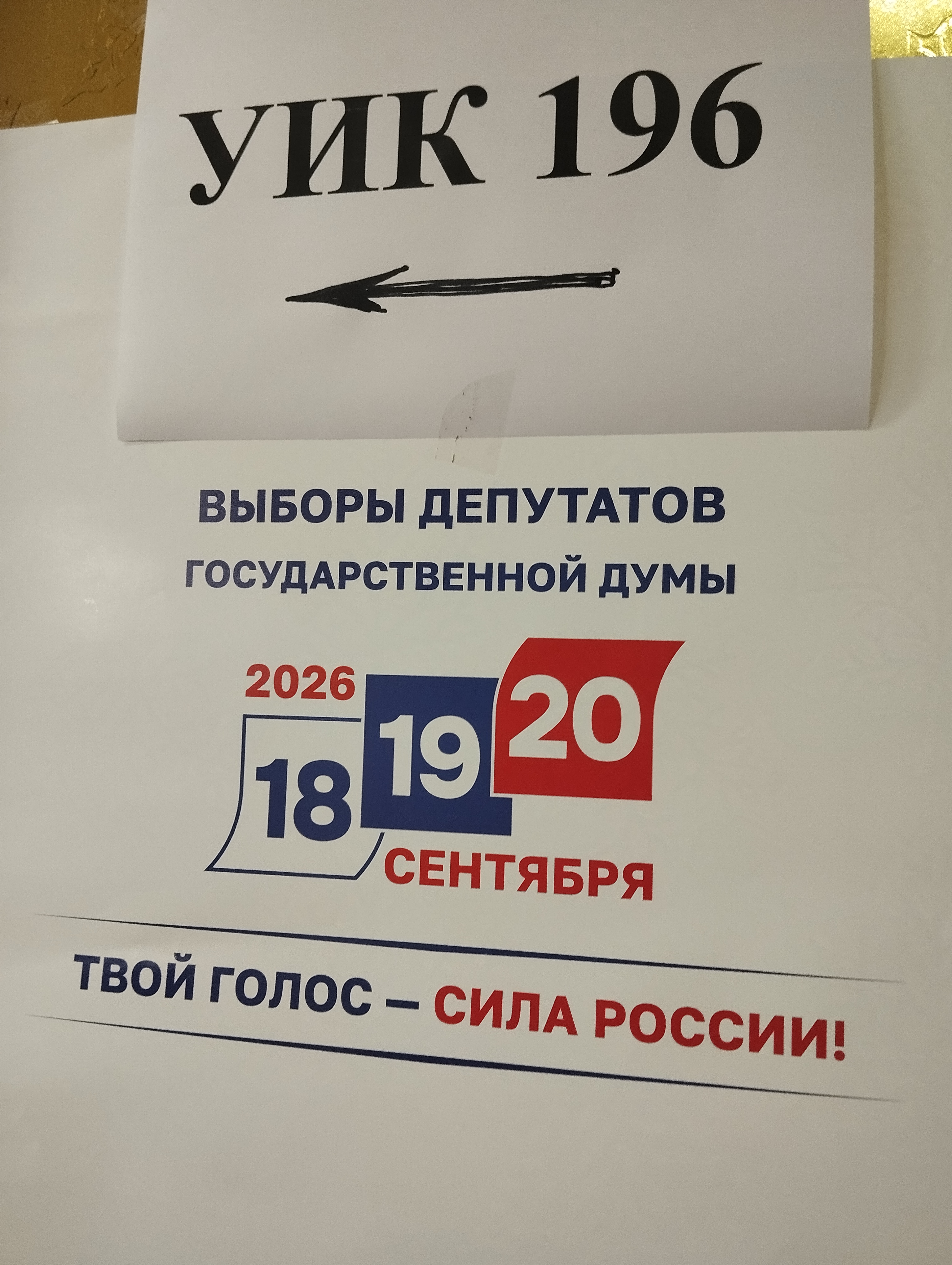Сообщение — УИК №196, Костромская область