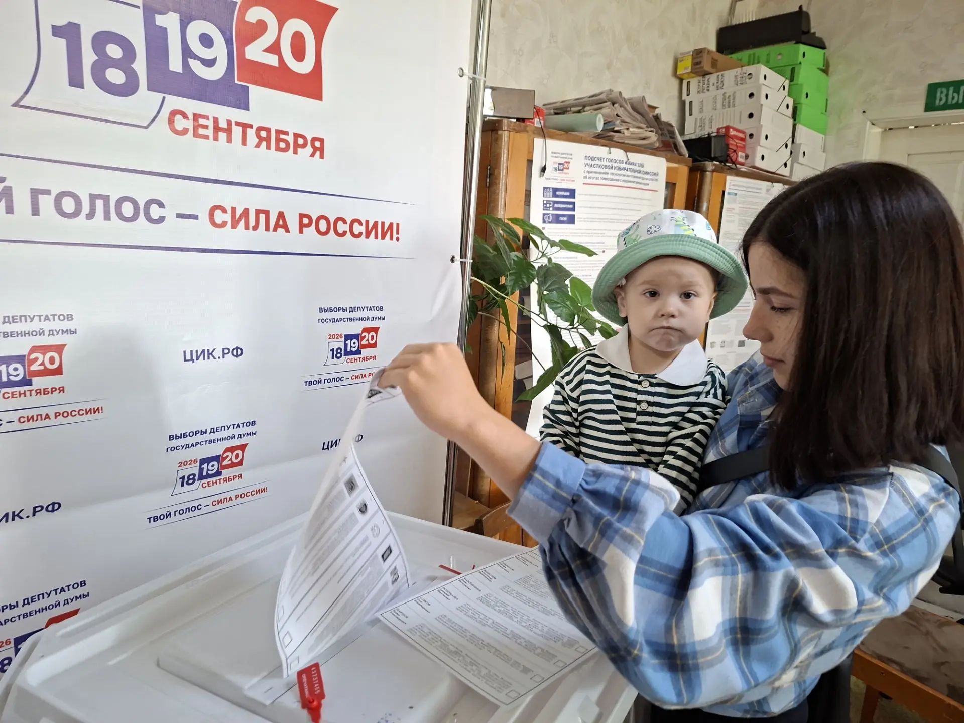 Сообщение — УИК №3115, Воронежская область