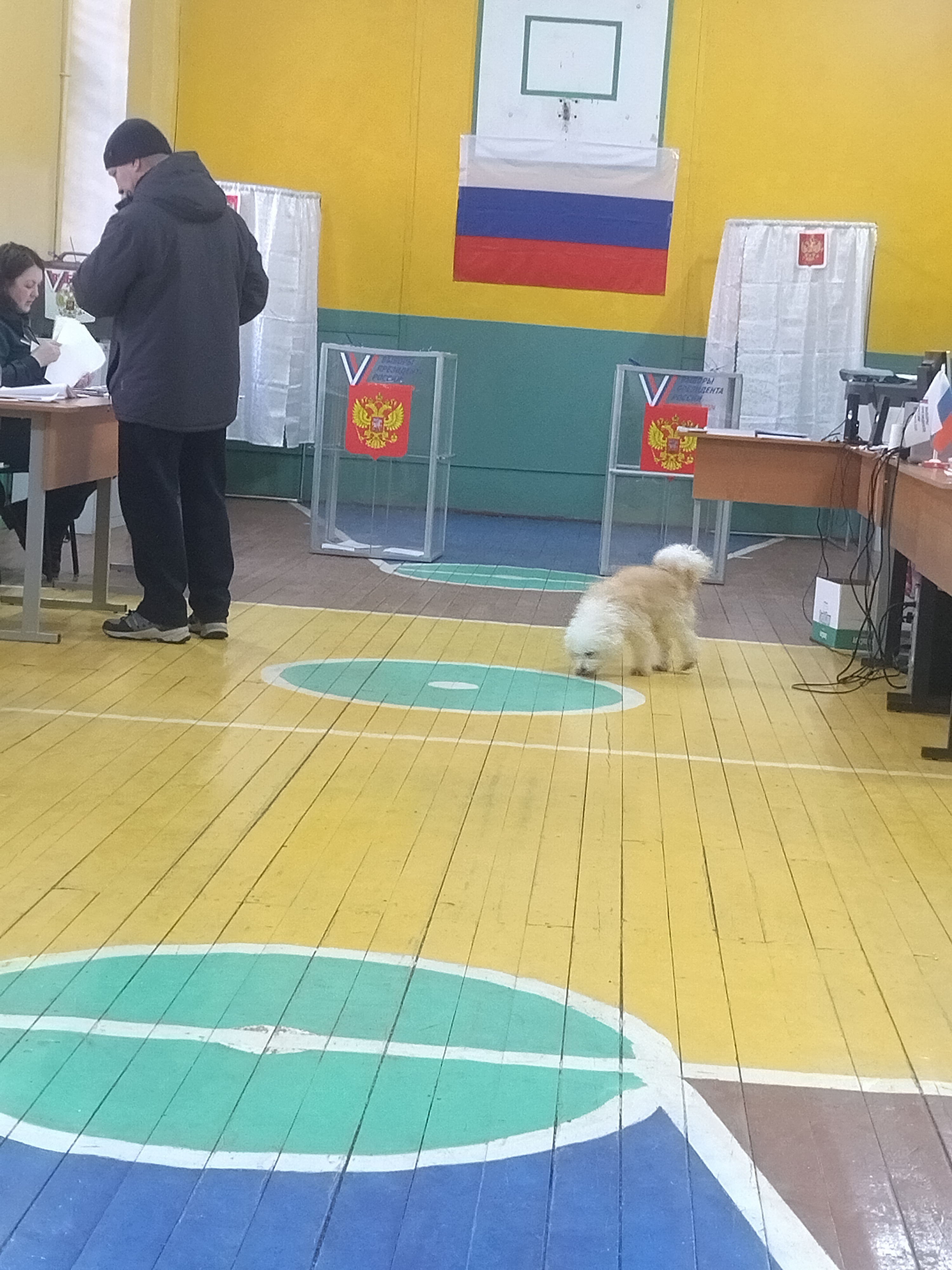 Сообщение наблюдателя — УИК №740, Ивановская область