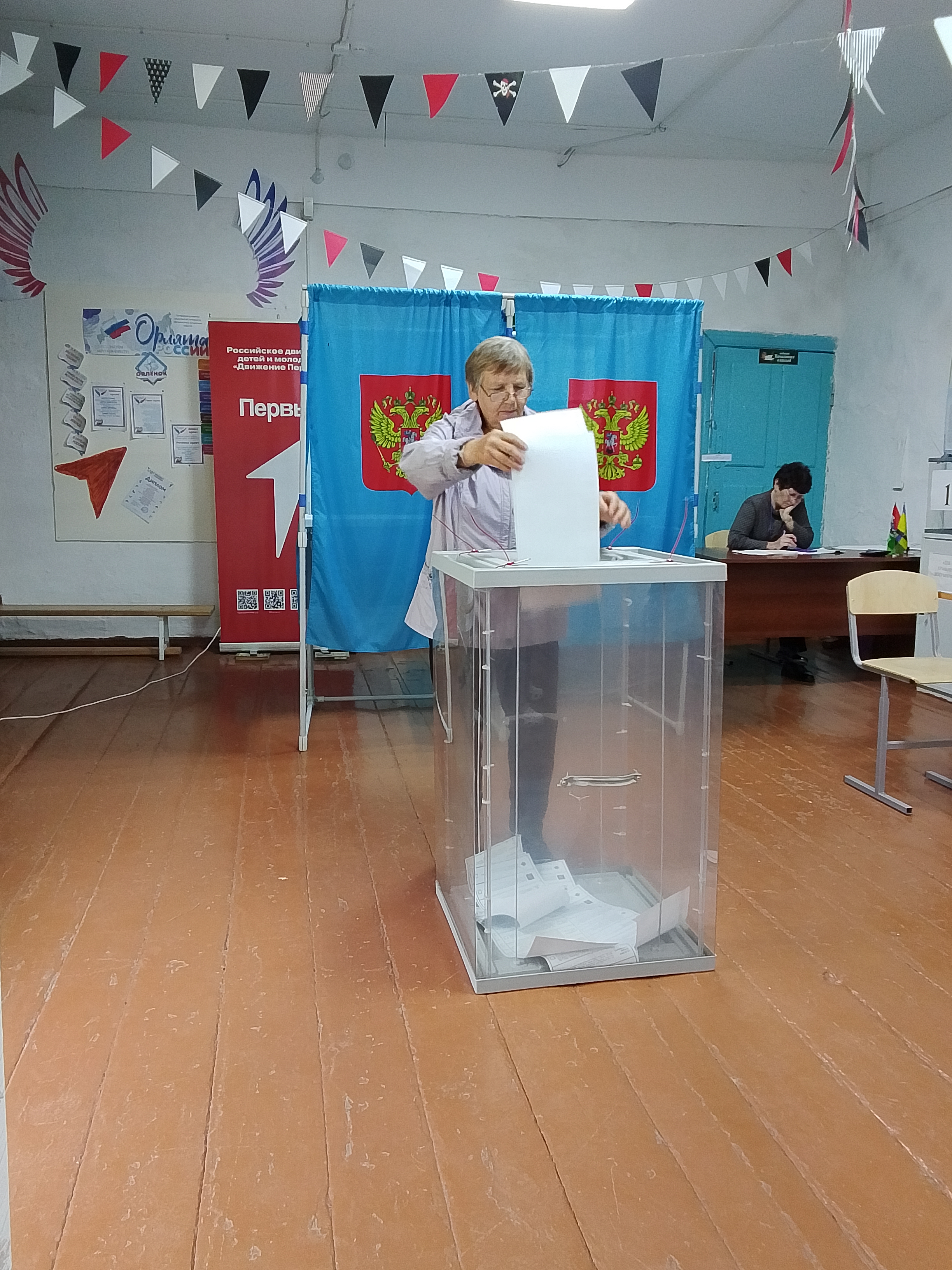 Сообщение — УИК №313, Новосибирская область