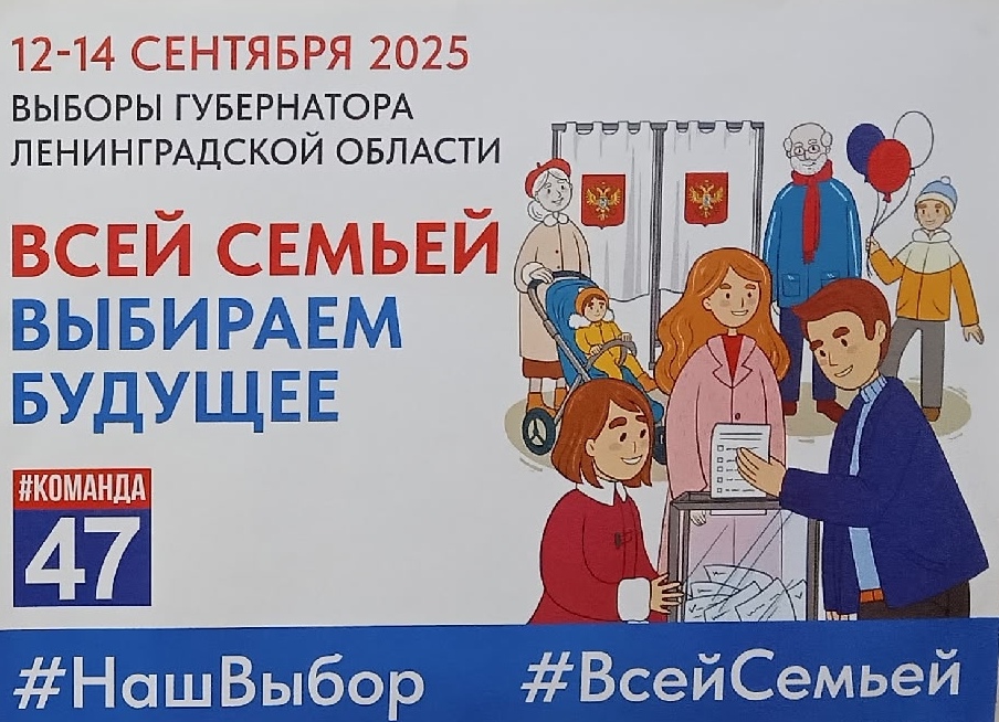 Сообщение наблюдателя — УИК №435, Ленинградская область