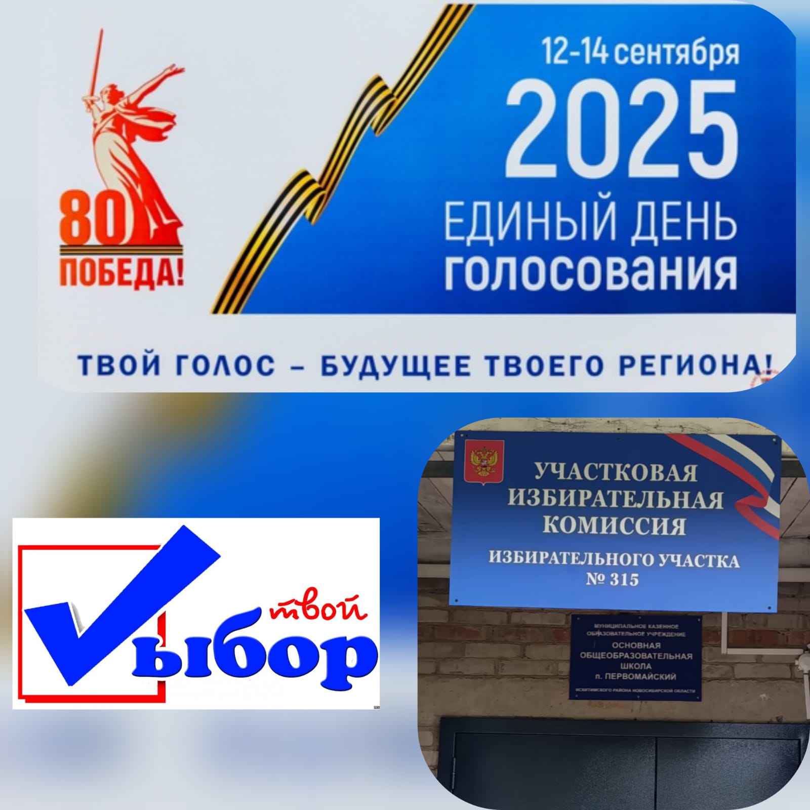 Сообщение наблюдателя — УИК №315, Новосибирская область