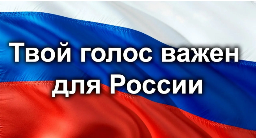 Сообщение — УИК №830, Новосибирская область