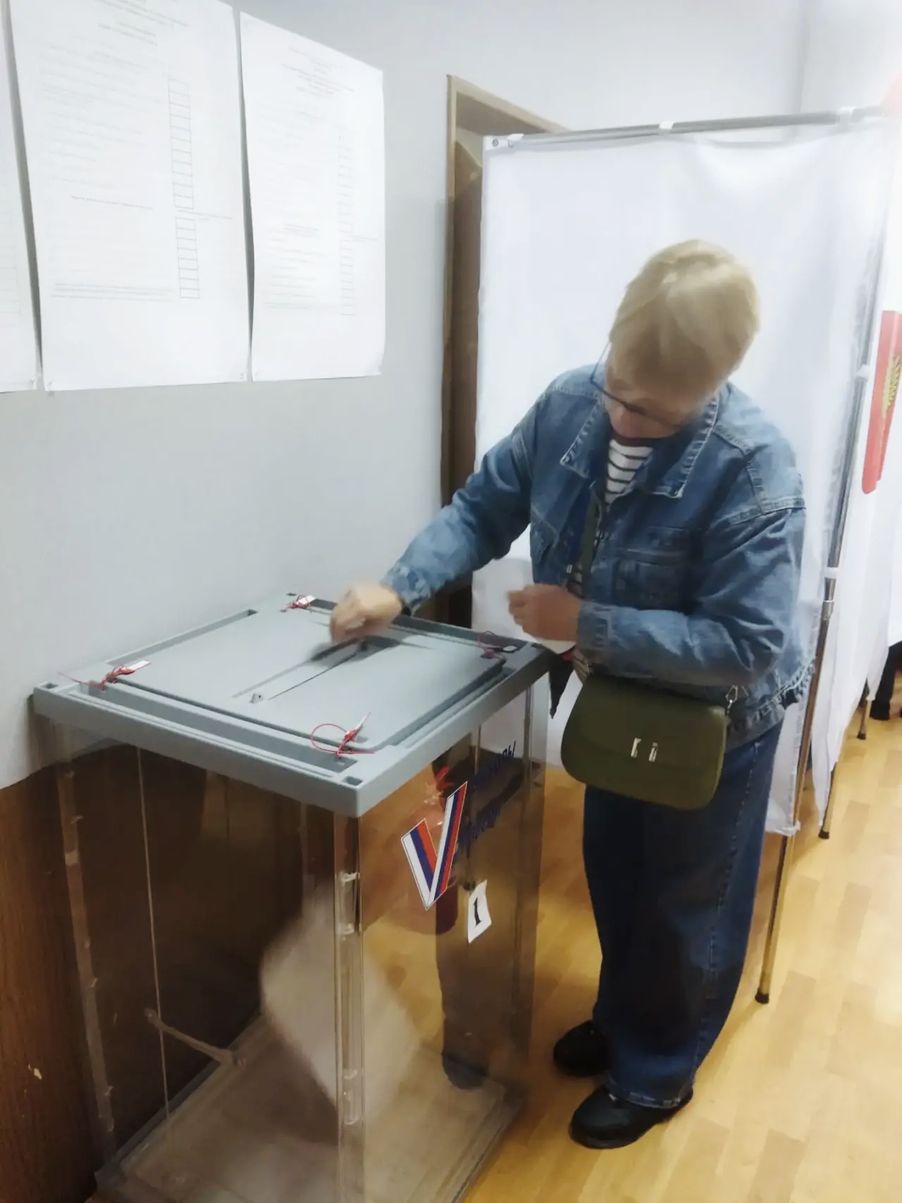 Сообщение — УИК №153, Московская область