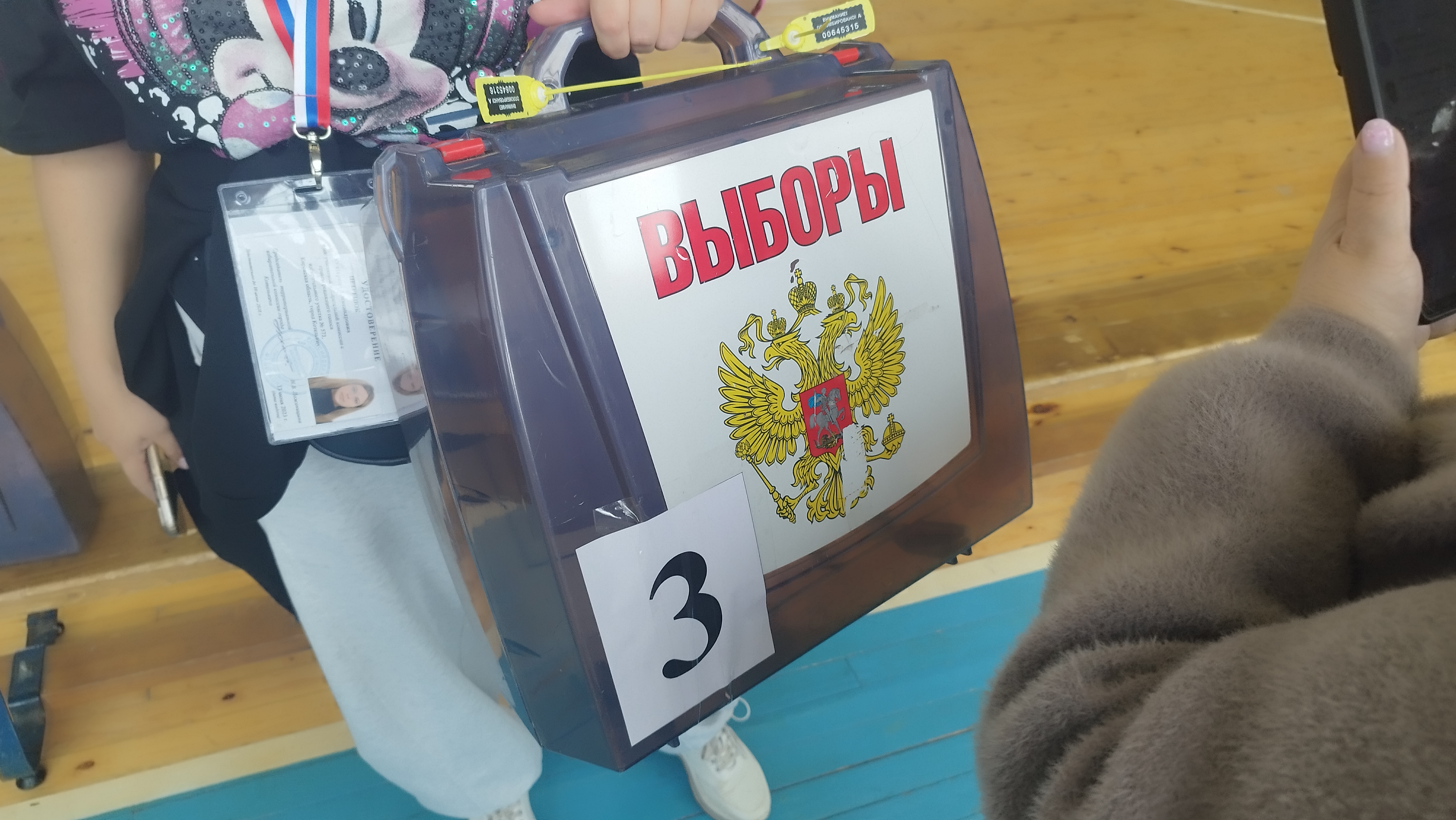 Сообщение — УИК №573, Кировская область