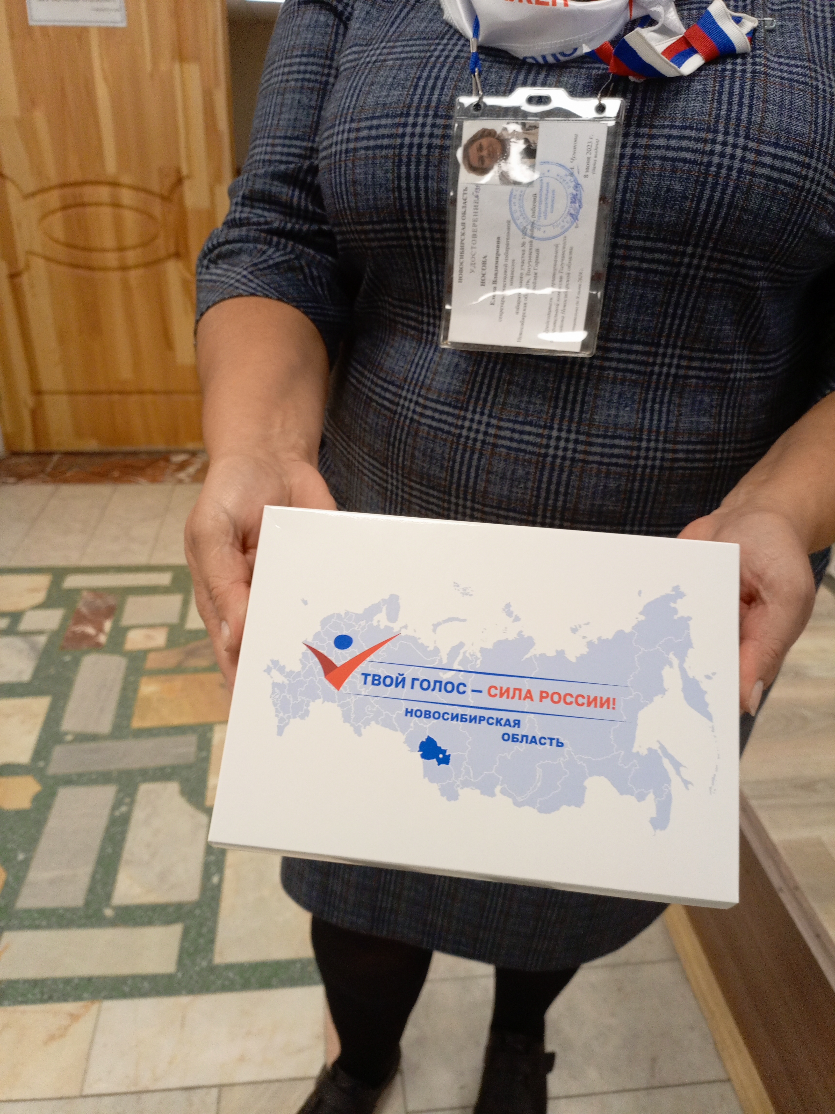 Сообщение — УИК №1029, Новосибирская область