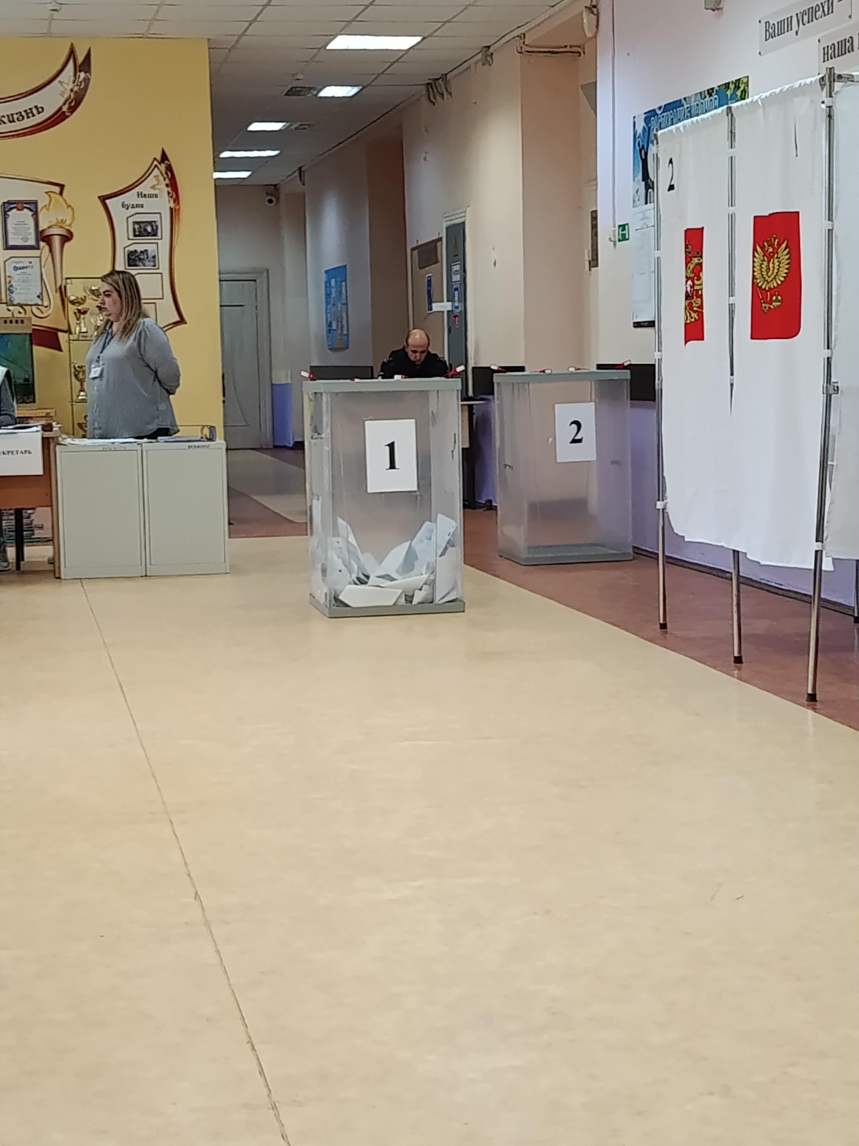 Сообщение — УИК №3387, Московская область
