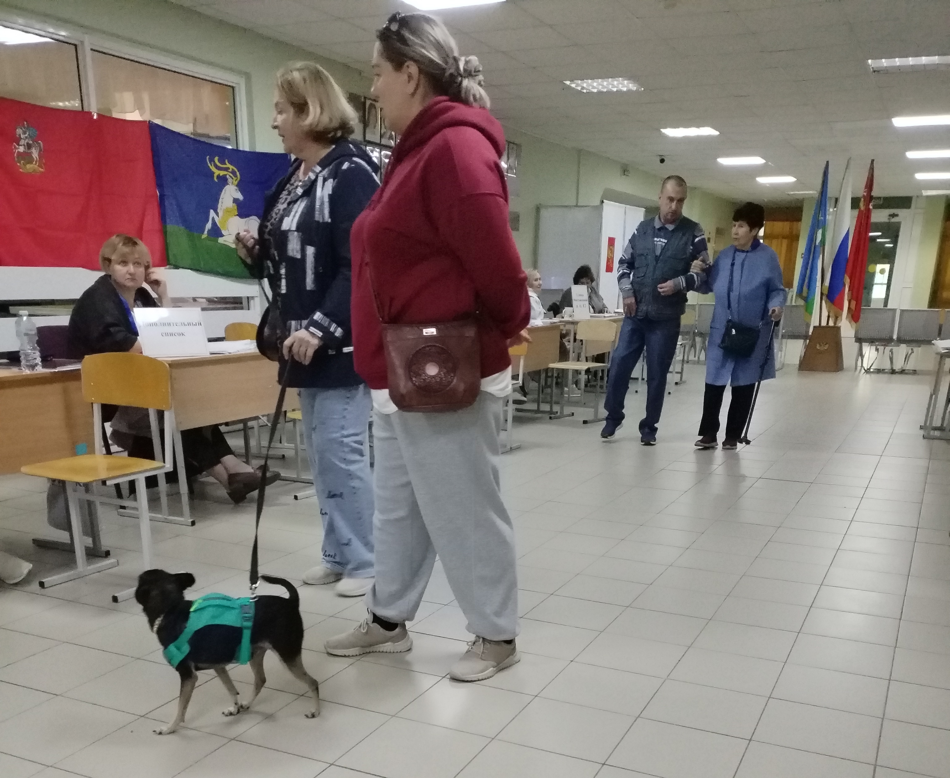 Сообщение — УИК №2037, Московская область