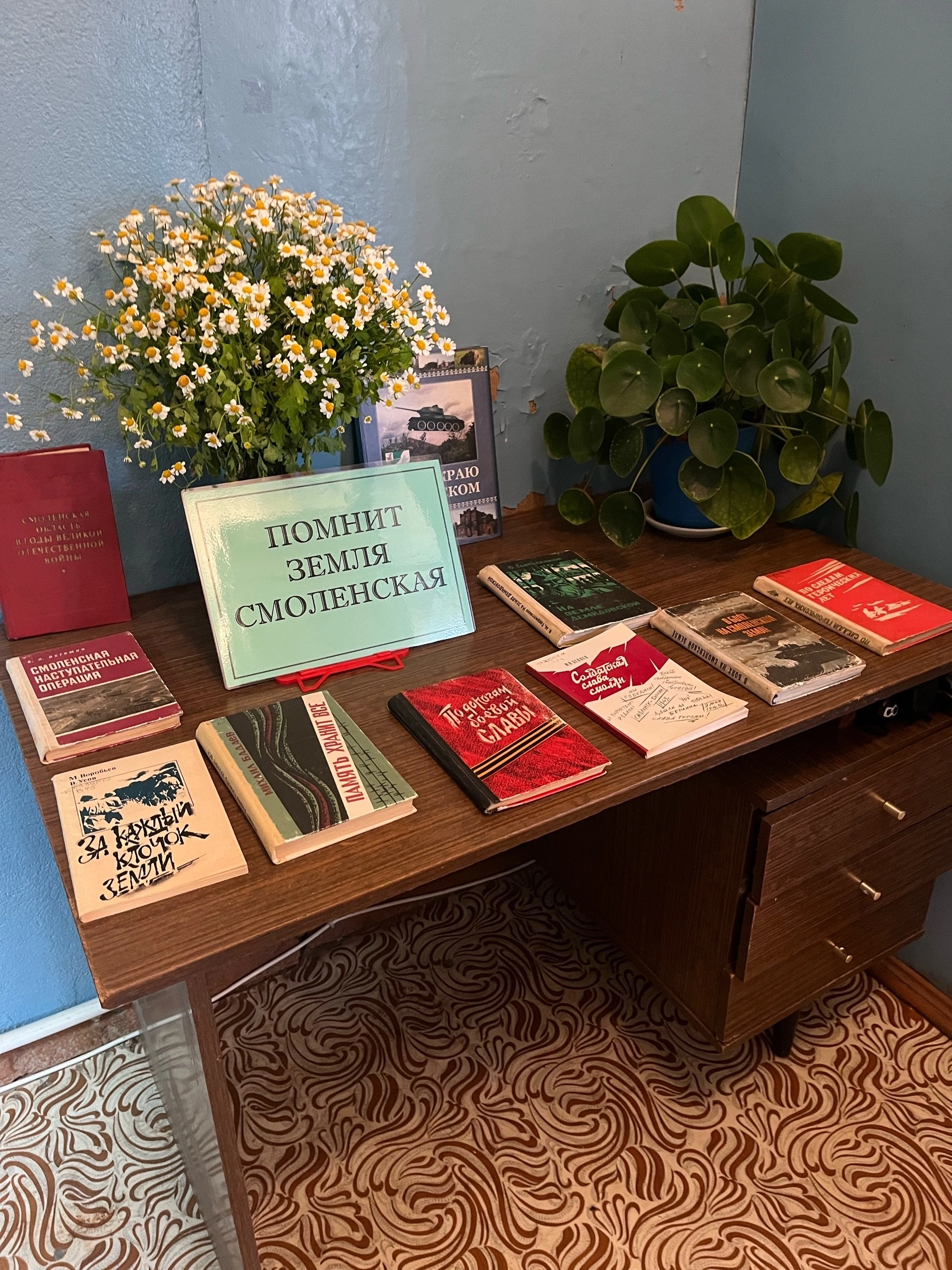 Сообщение — УИК №113, Смоленская область