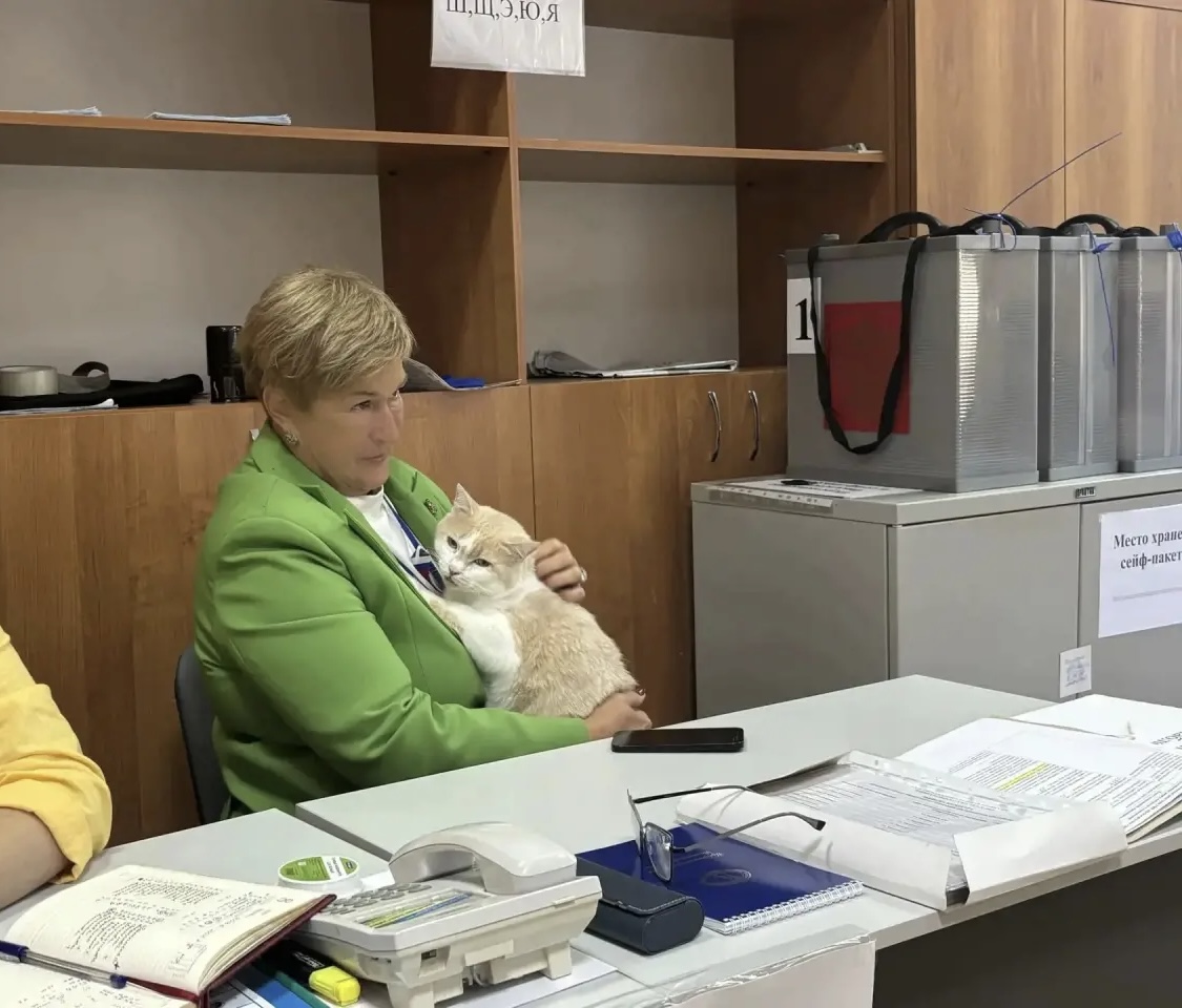 Сообщение — УИК №4013, Волгоградская область