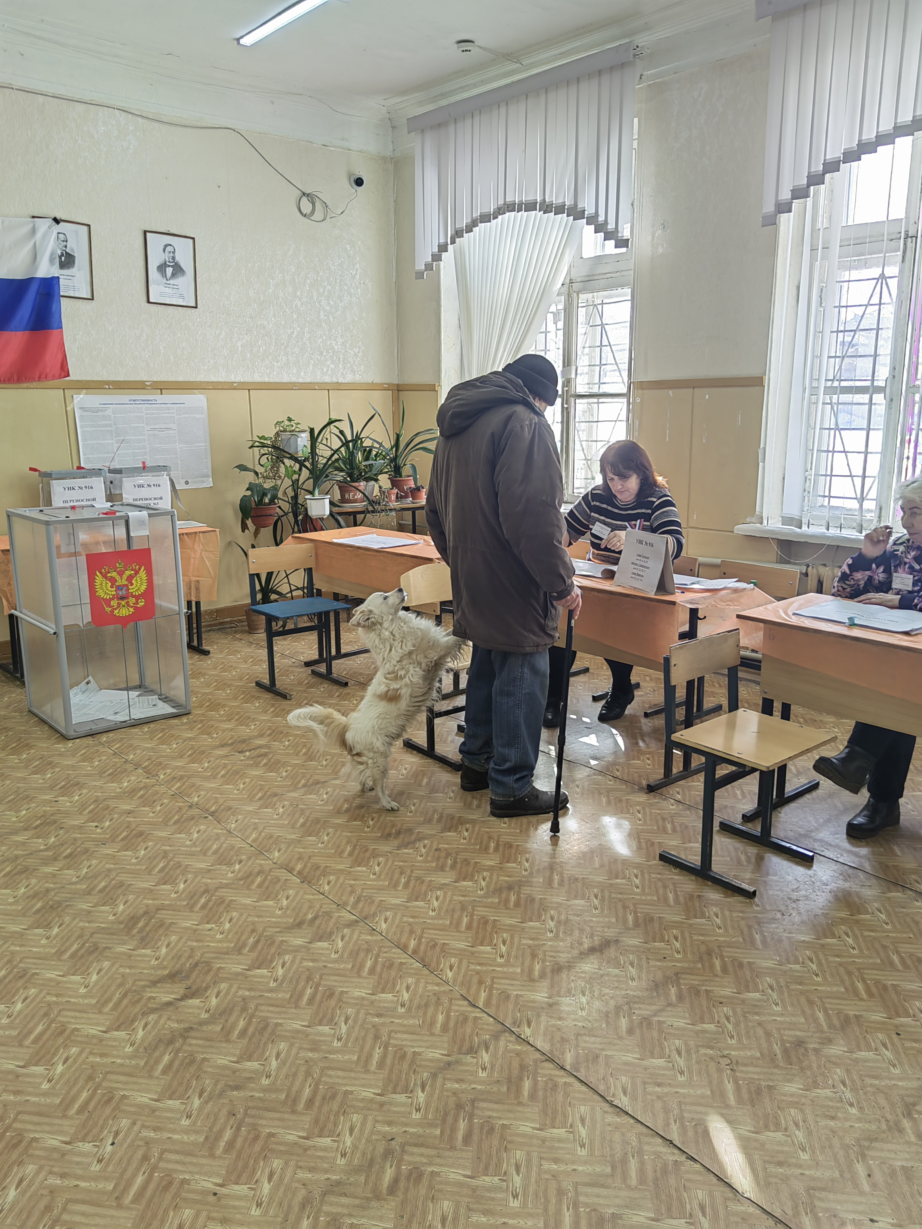 Сообщение наблюдателя — УИК №916, Нижегородская область
