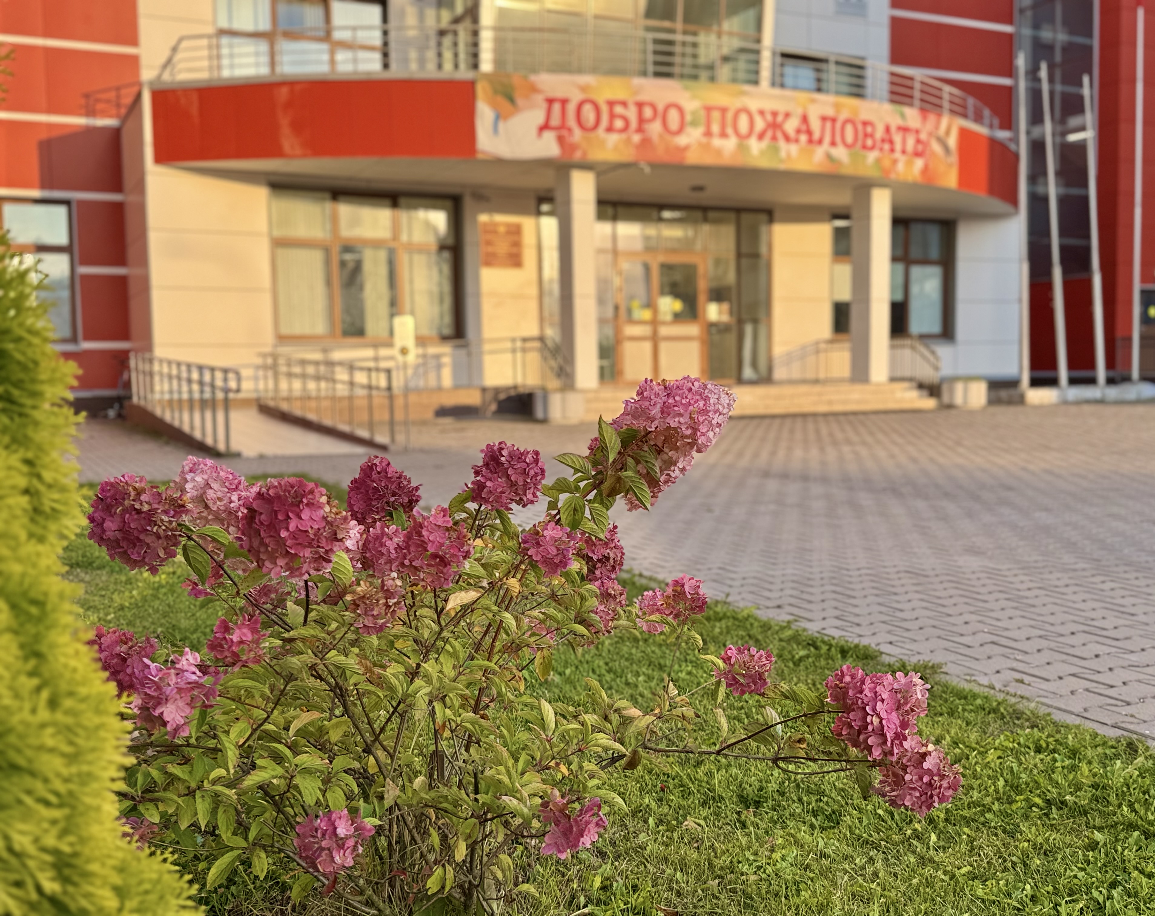 Сообщение — УИК №4217, Московская область