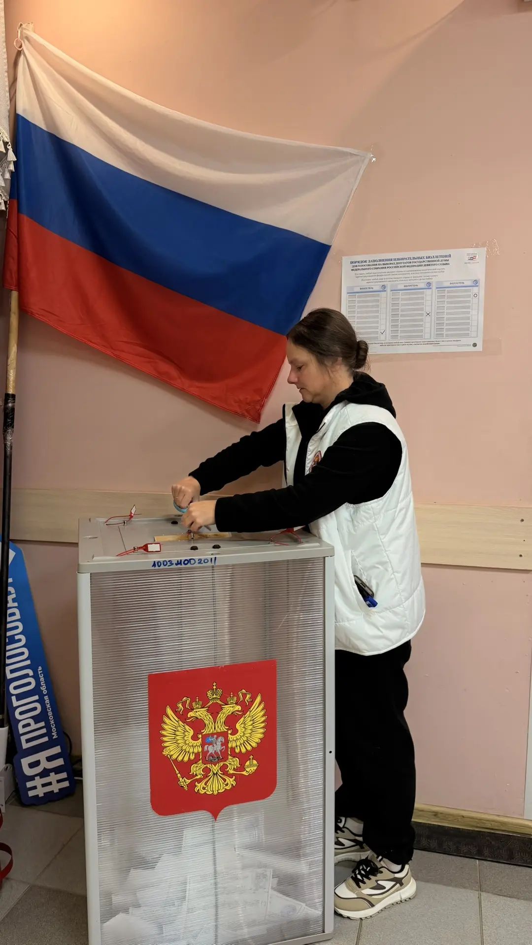 Сообщение — УИК №3079, Московская область