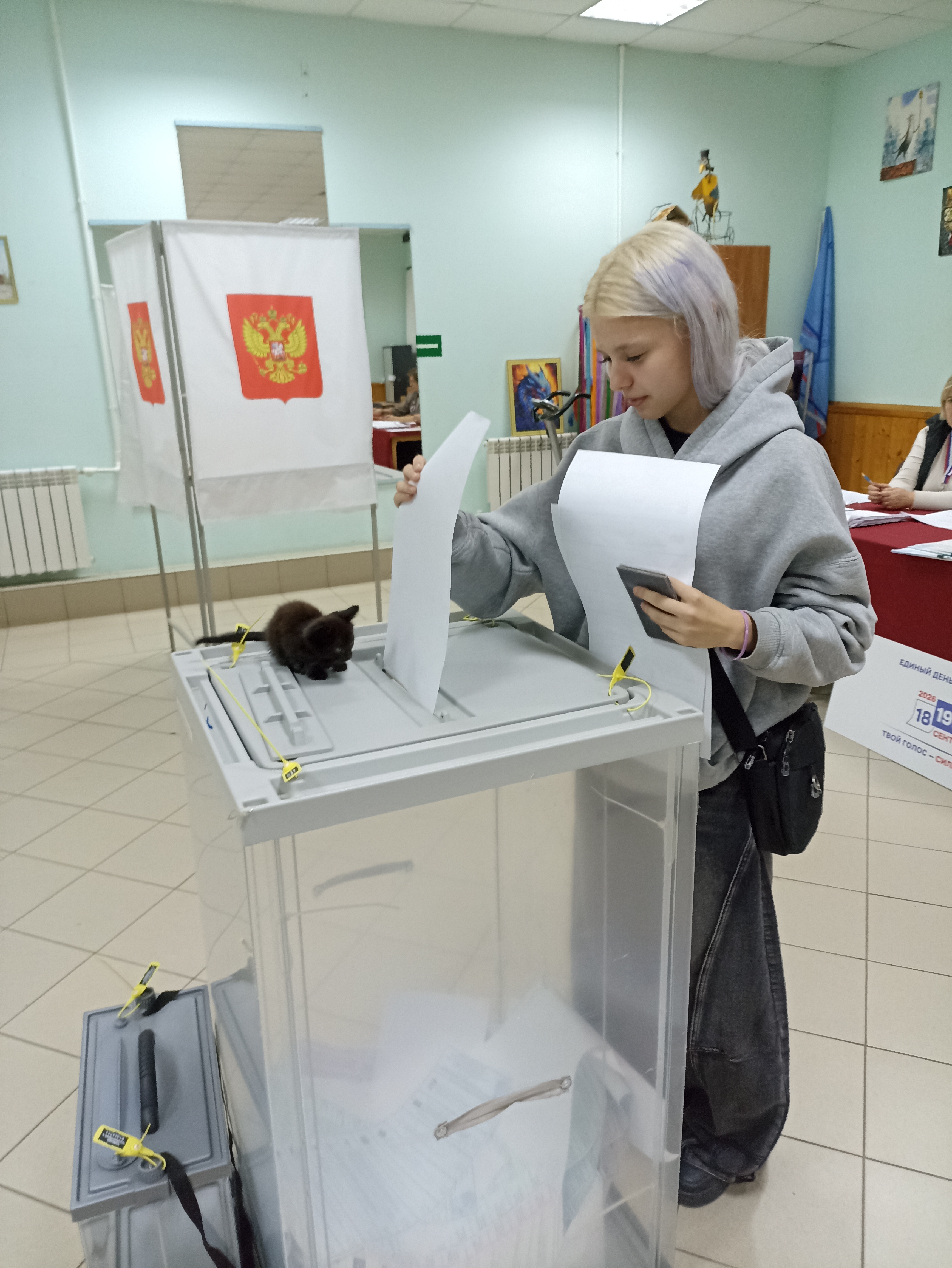 Сообщение — УИК №519, Липецкая область