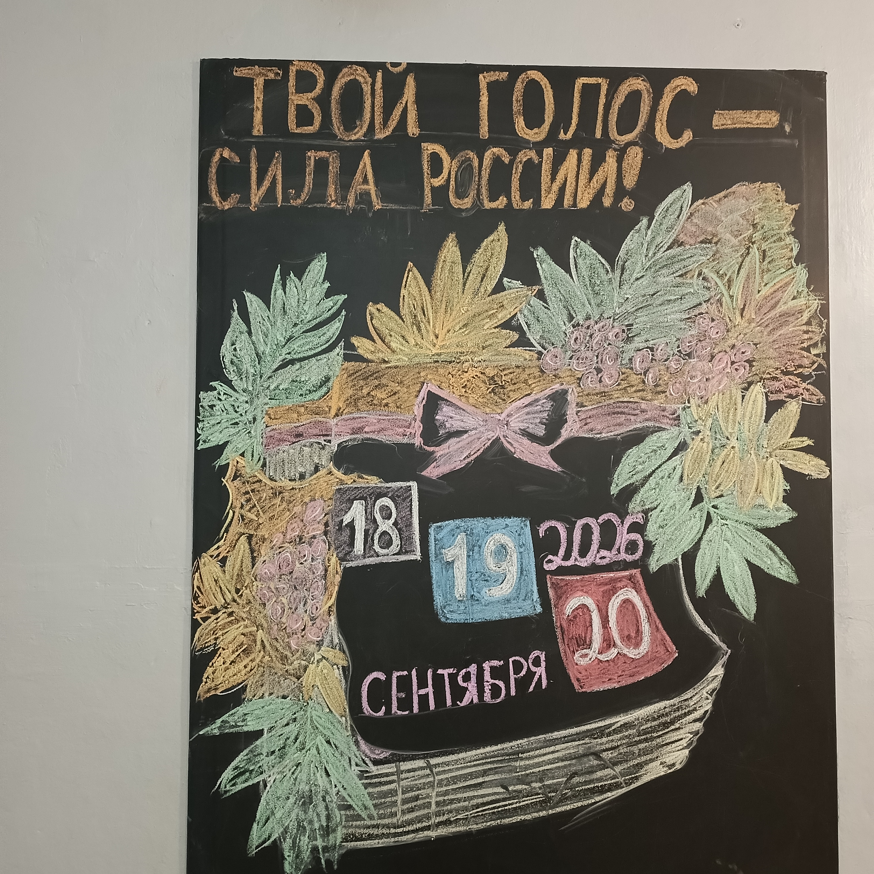 Сообщение — УИК №202, Липецкая область