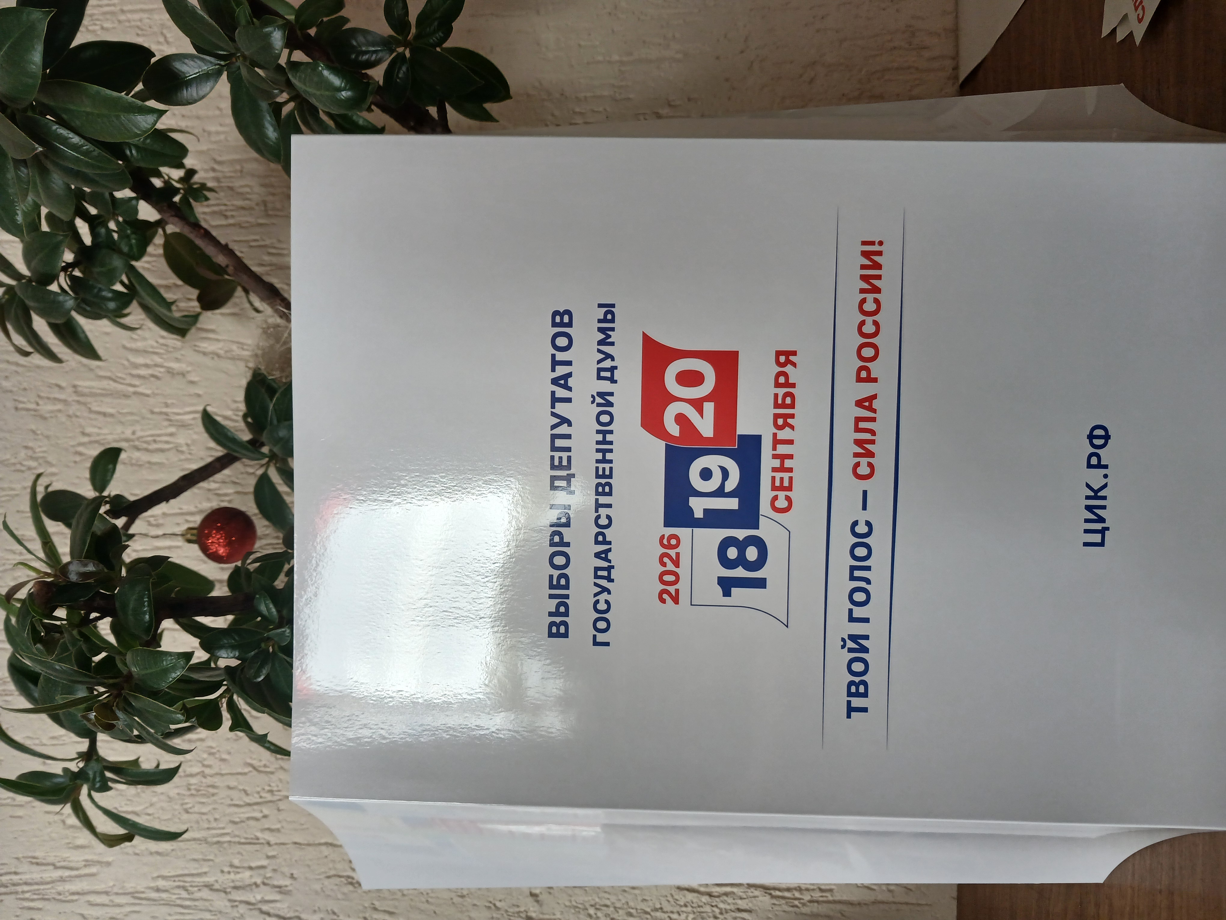 Сообщение — УИК №786, Новосибирская область