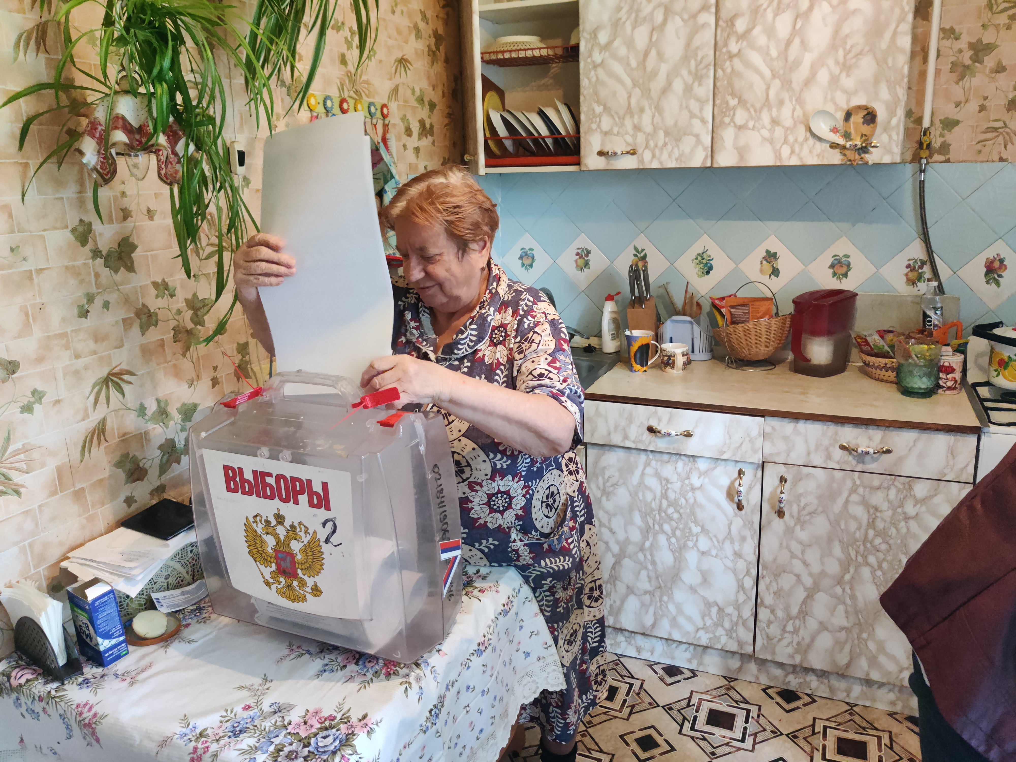 Сообщение — УИК №780, Московская область