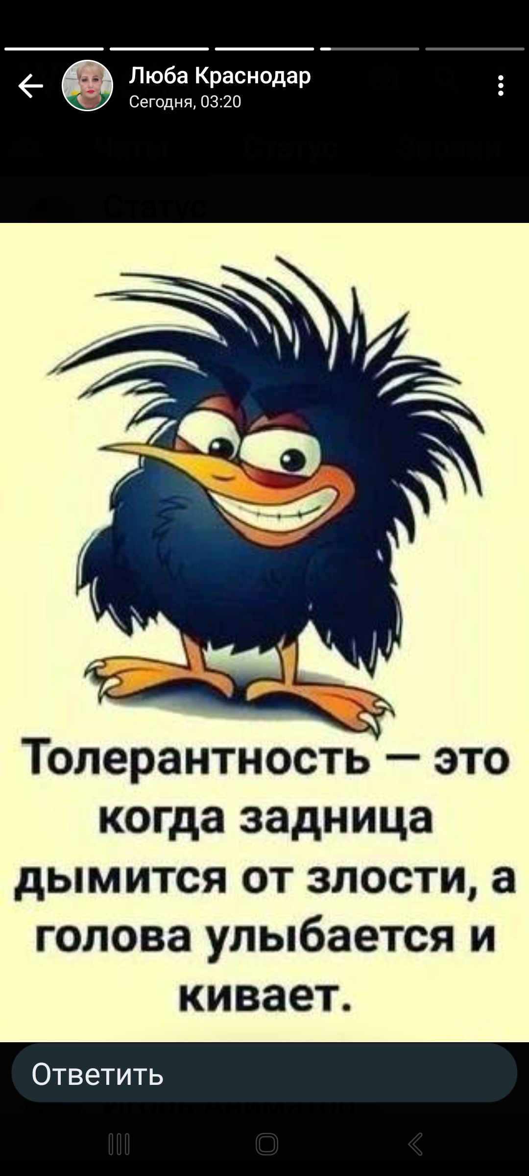 Сообщение наблюдателя — УИК №32, Хабаровский край