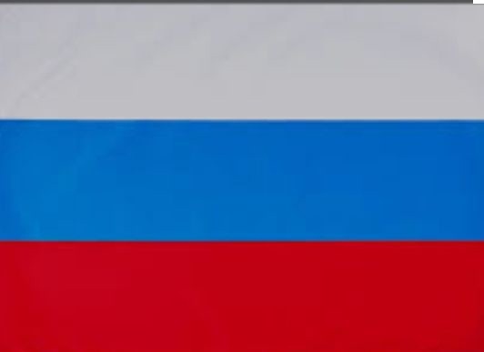Сообщение наблюдателя — УИК №309, Воронежская область