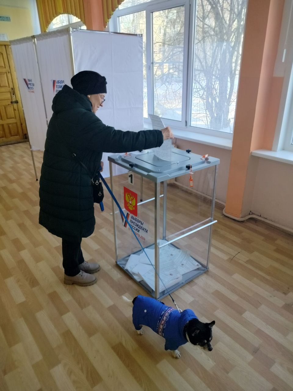 Сообщение наблюдателя — УИК №2134, Московская область