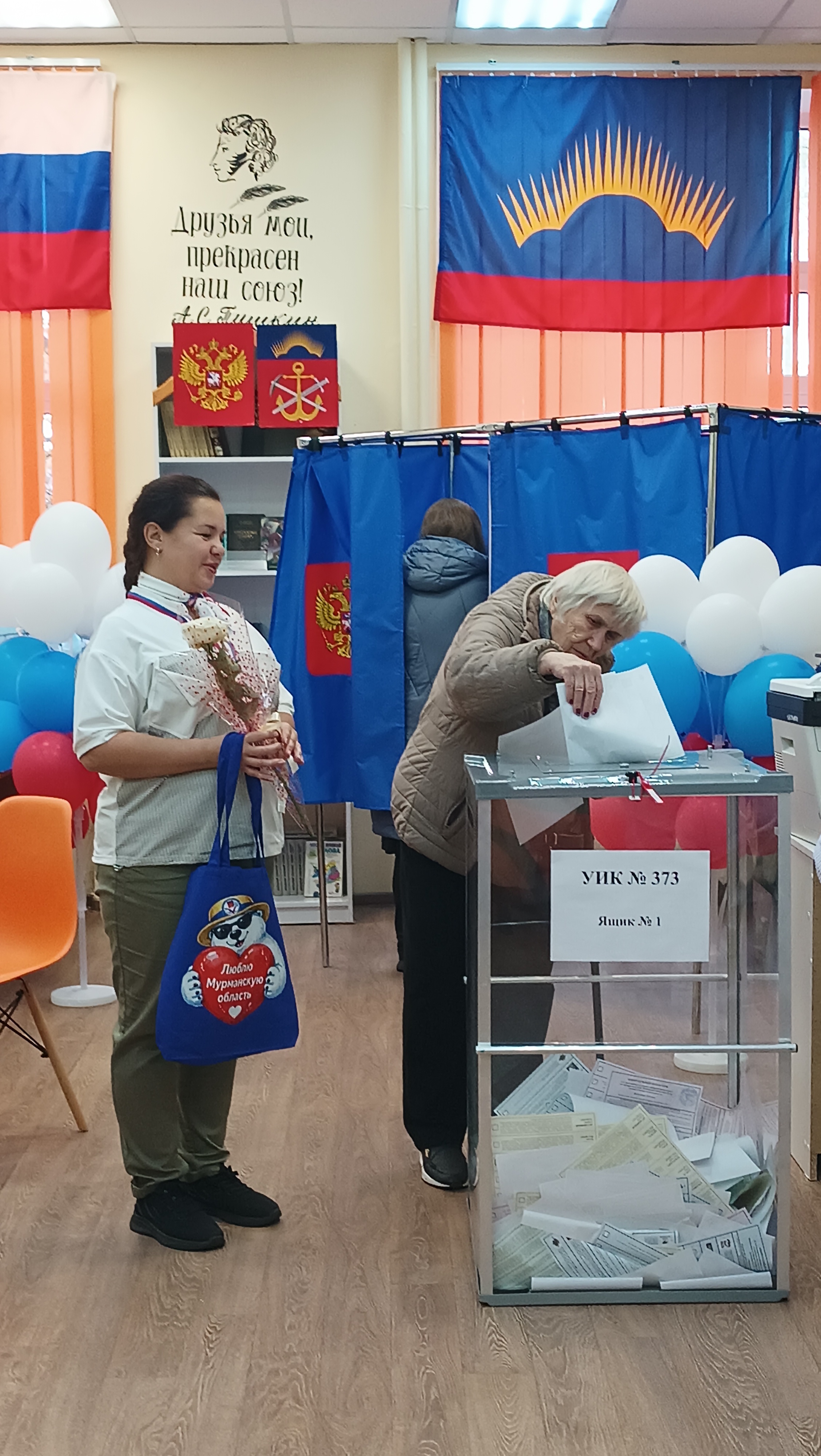 Сообщение — УИК №373, Мурманская область