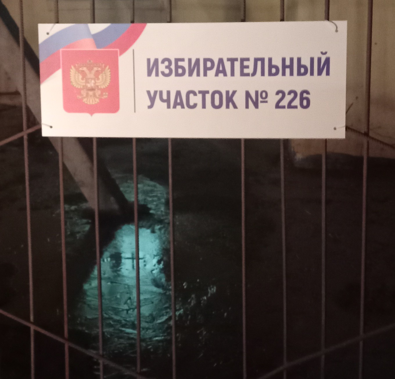 Сообщение наблюдателя — УИК №226, Саратовская область