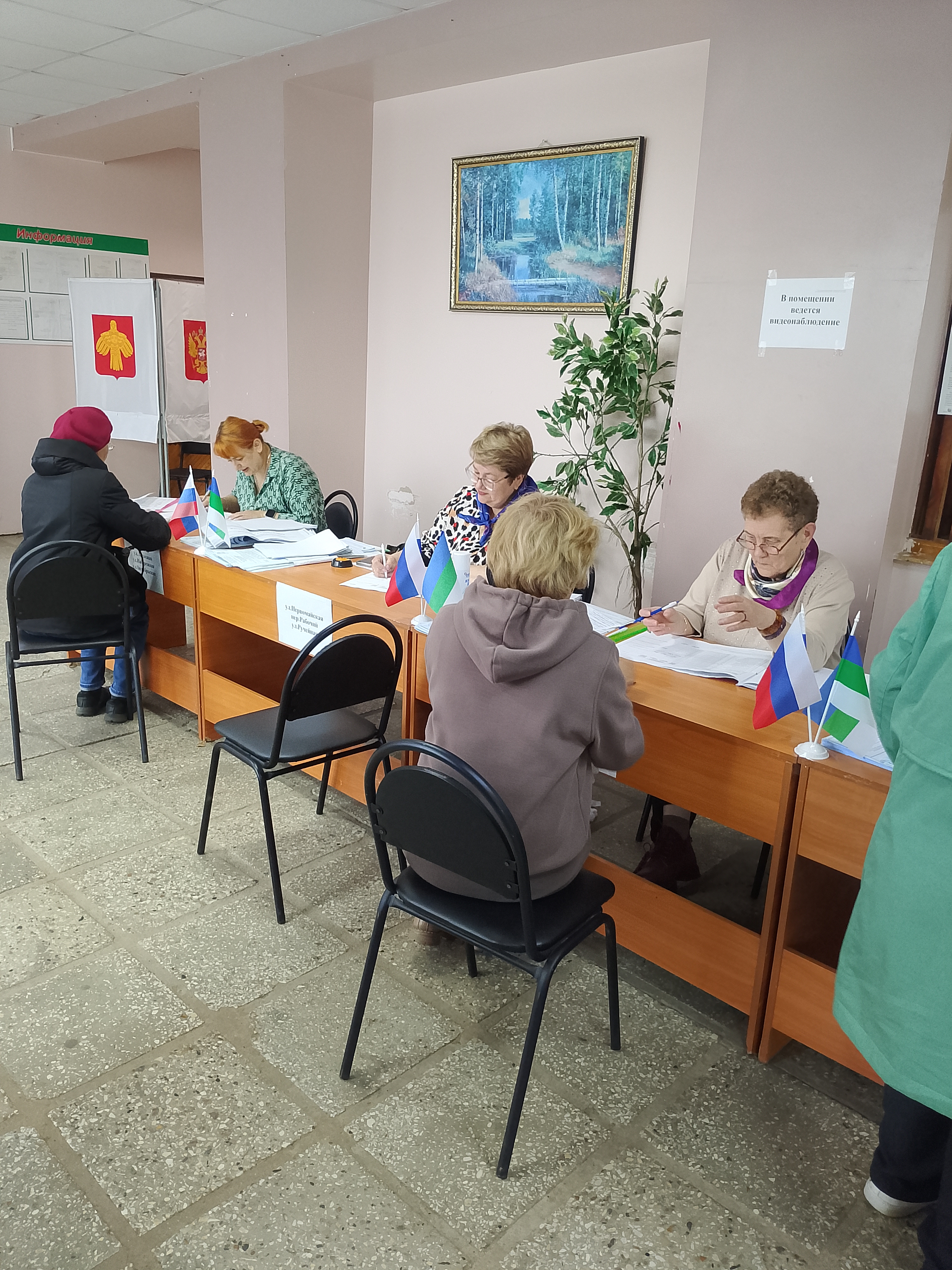 Сообщение — УИК №224, Республика Коми