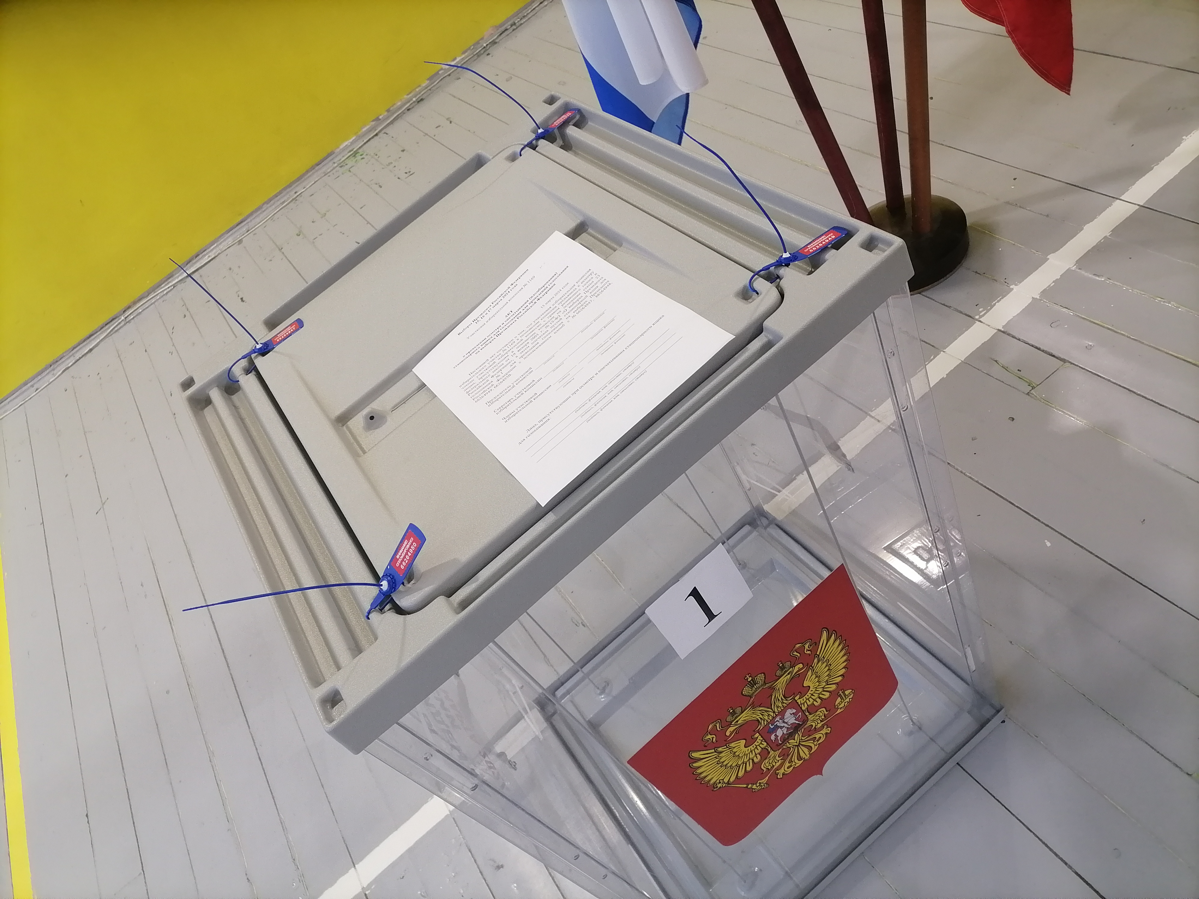 Сообщение наблюдателя — УИК №1169, Новгородская область