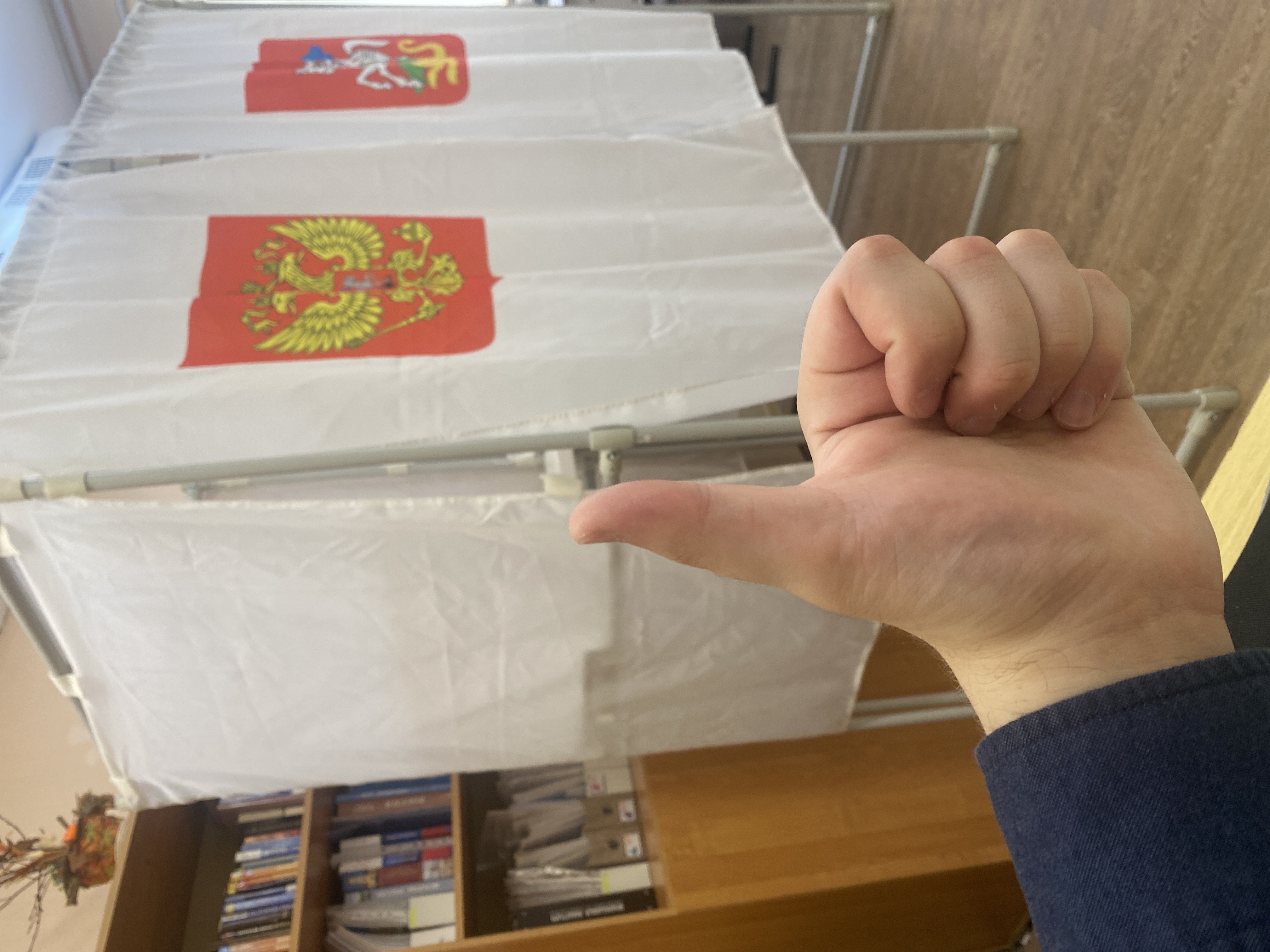 Сообщение — УИК №3826, Московская область