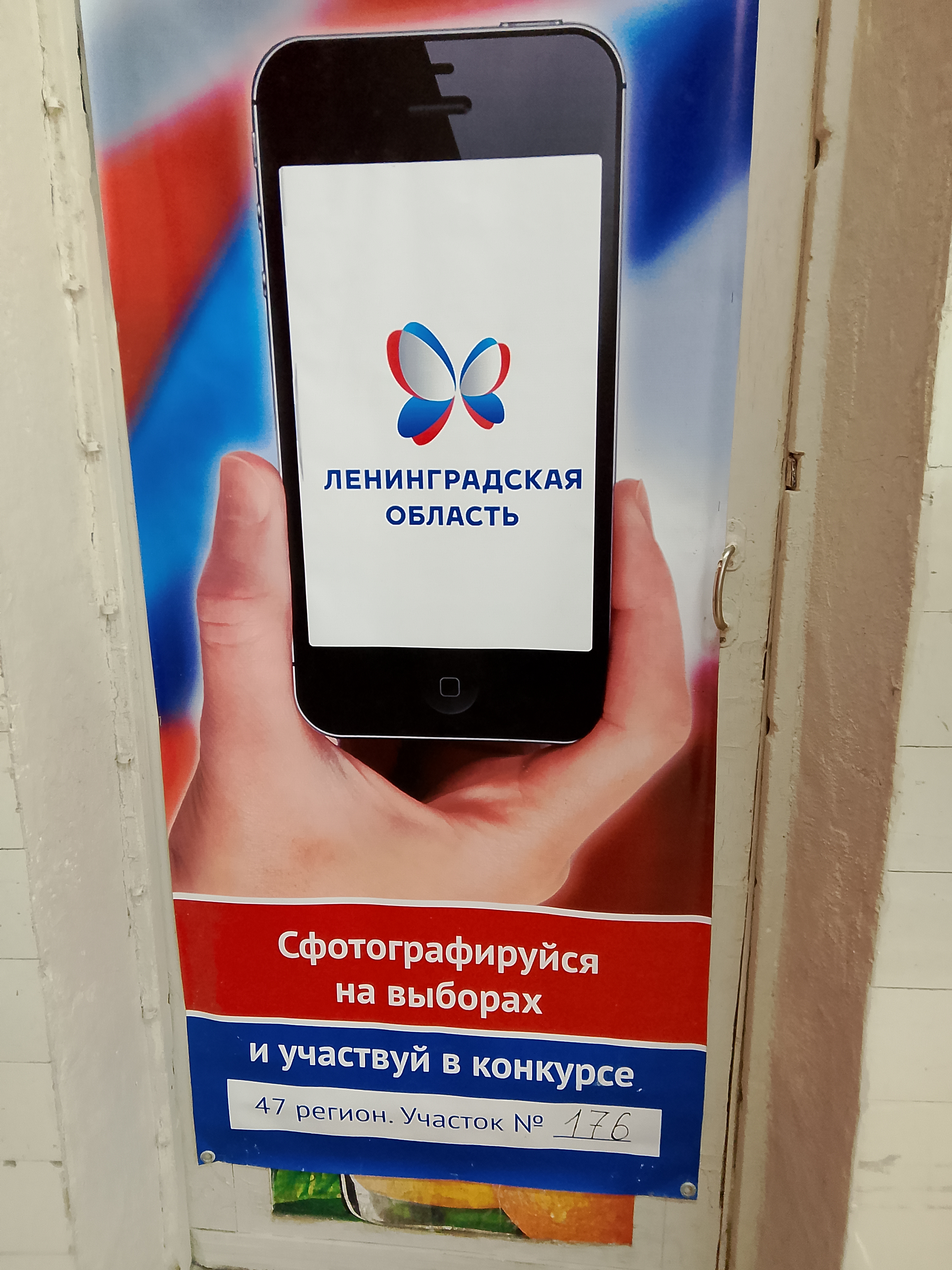 Сообщение наблюдателя — УИК №176, Ленинградская область