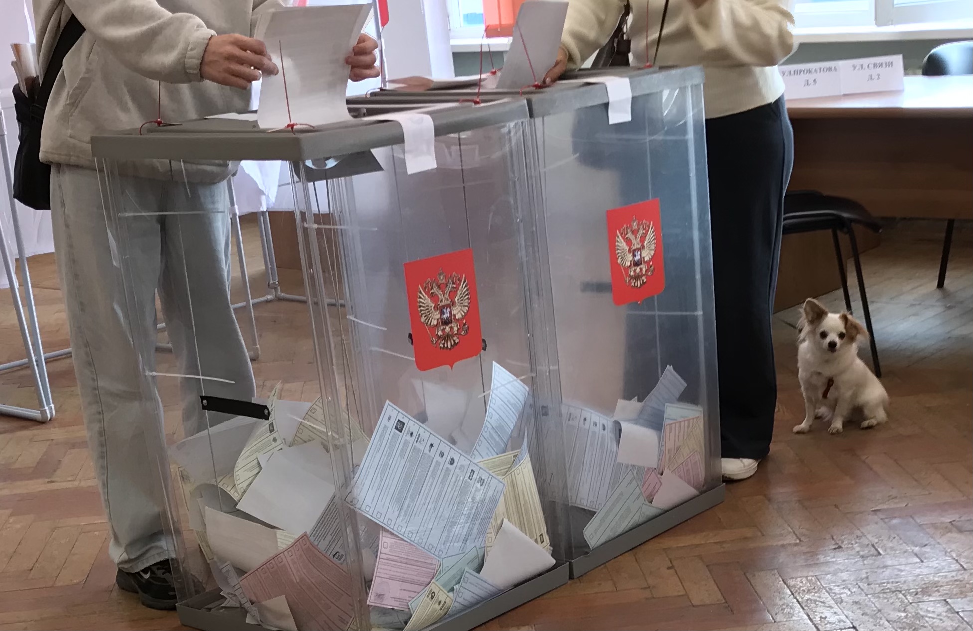 Сообщение — УИК №302, Вологодская область