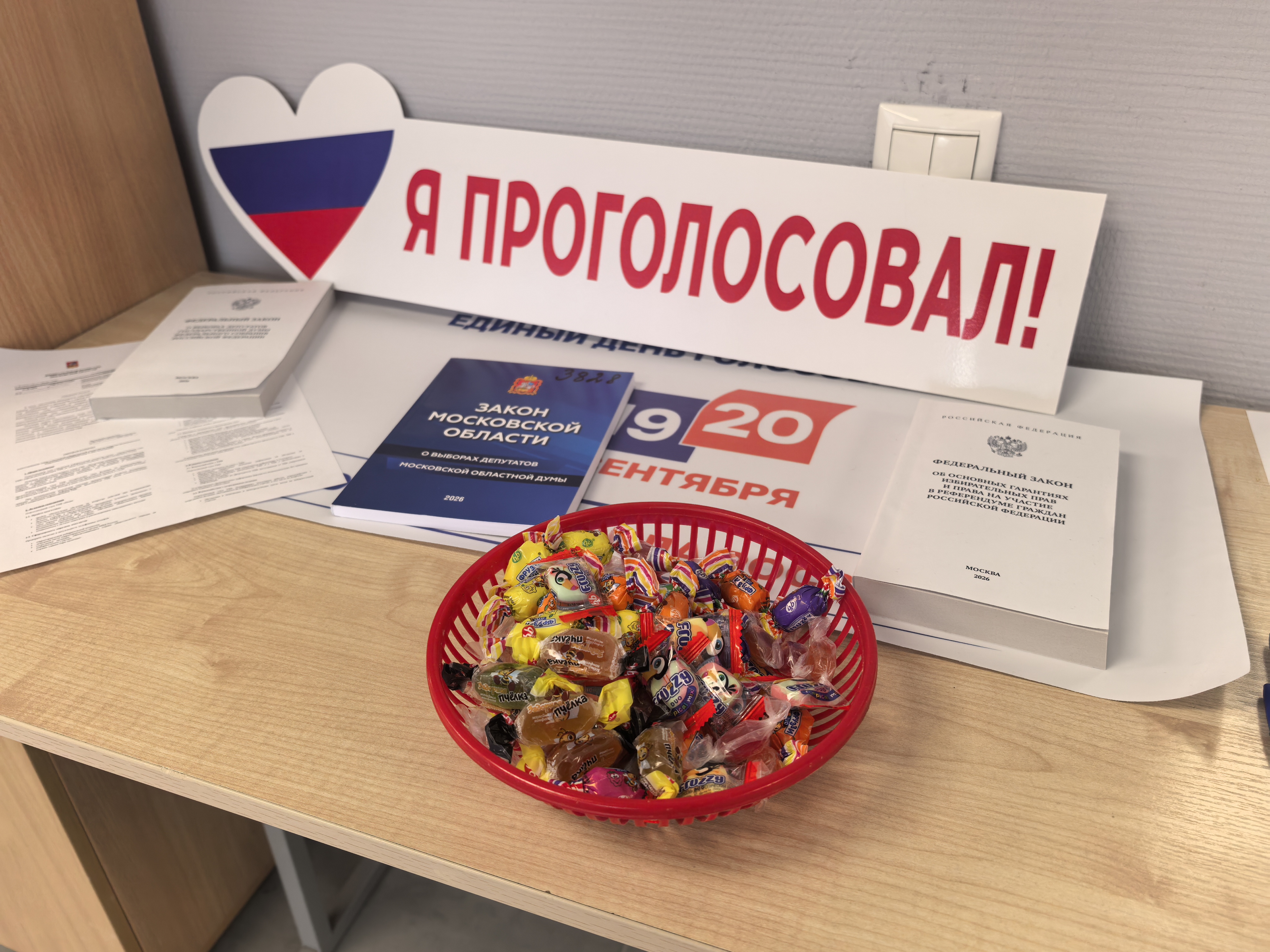 Сообщение — УИК №3828, Московская область