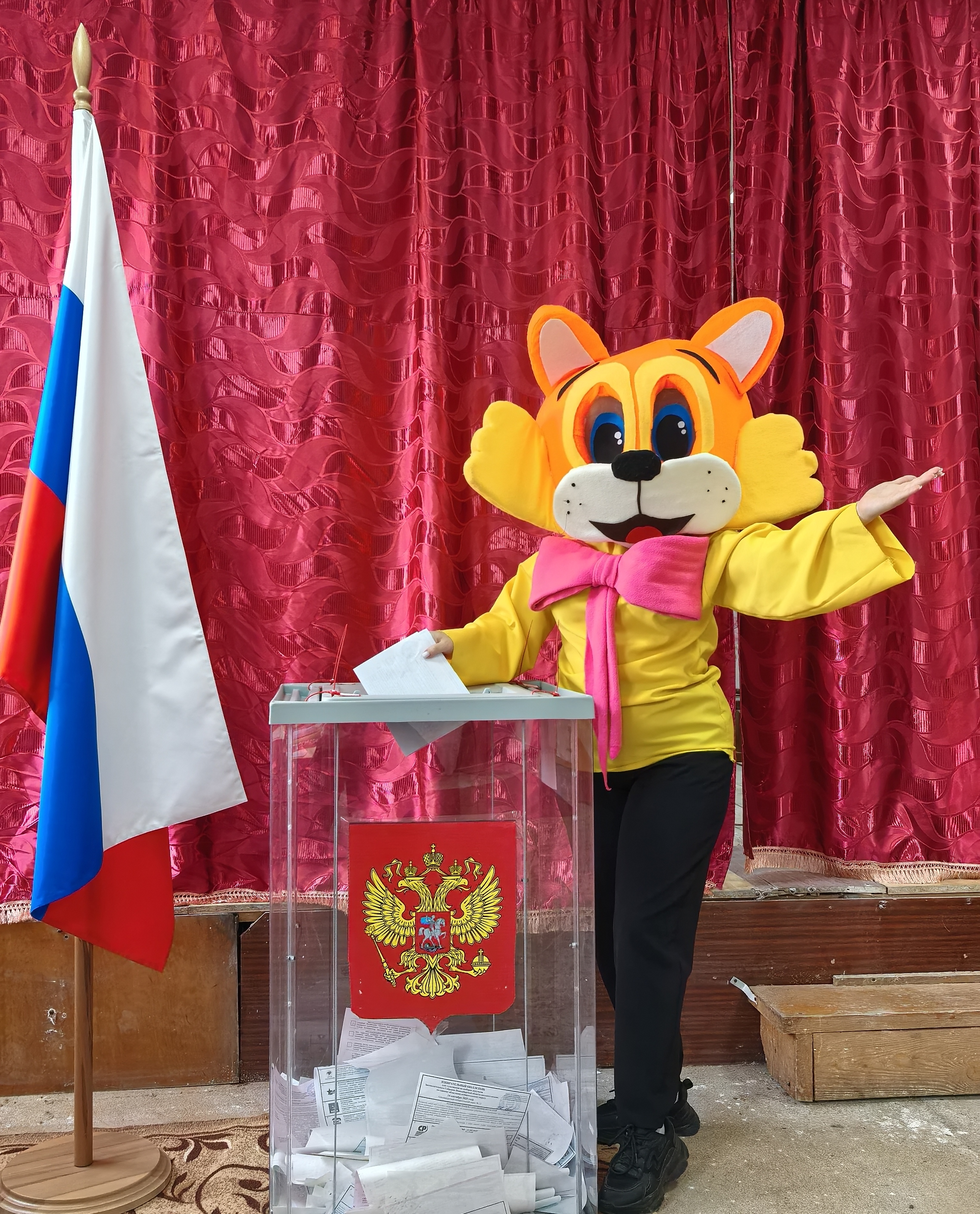 Сообщение наблюдателя — УИК №1246, Новосибирская область