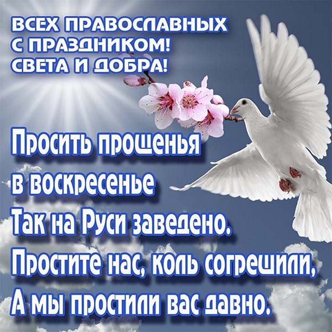 Сообщение наблюдателя — УИК №1884, Новосибирская область