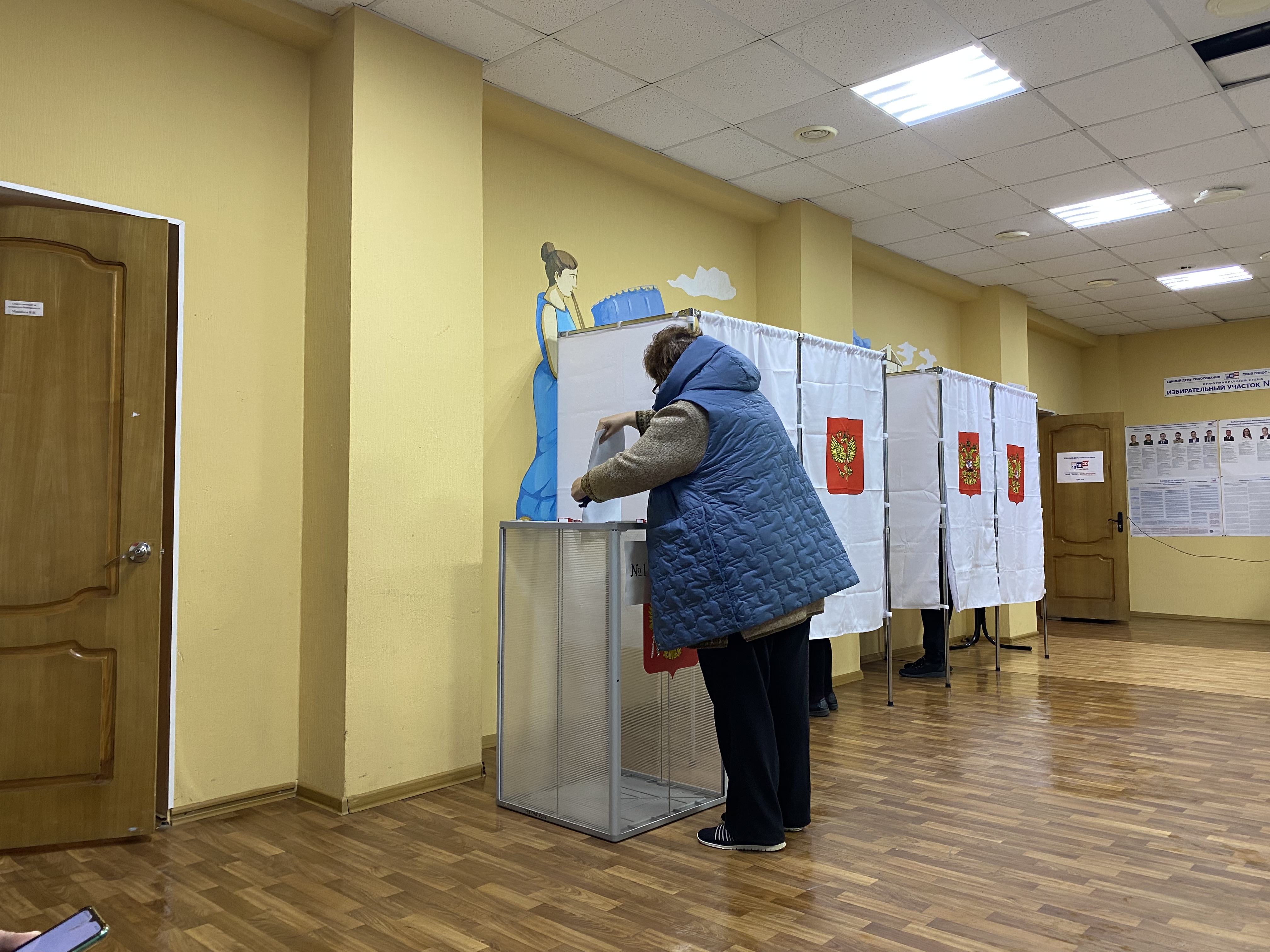 Сообщение — УИК №3091, Московская область