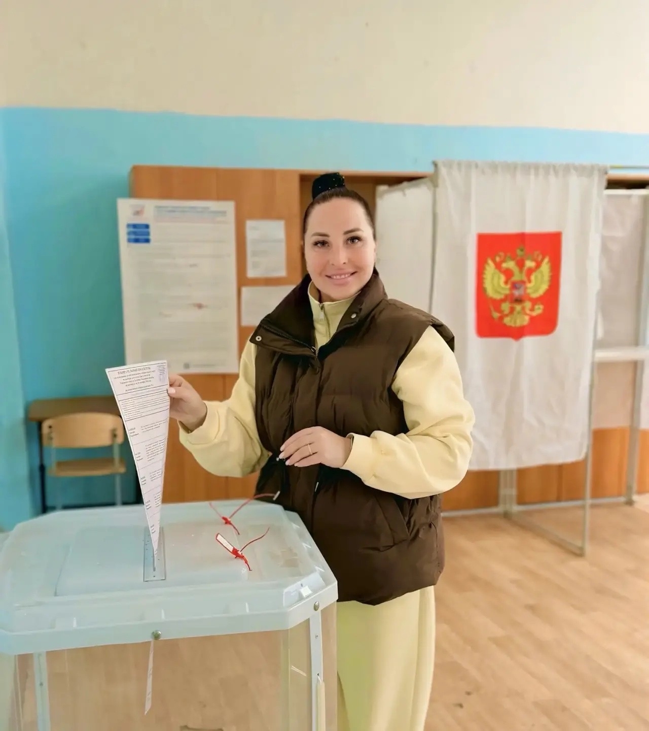Сообщение — УИК №950, Московская область