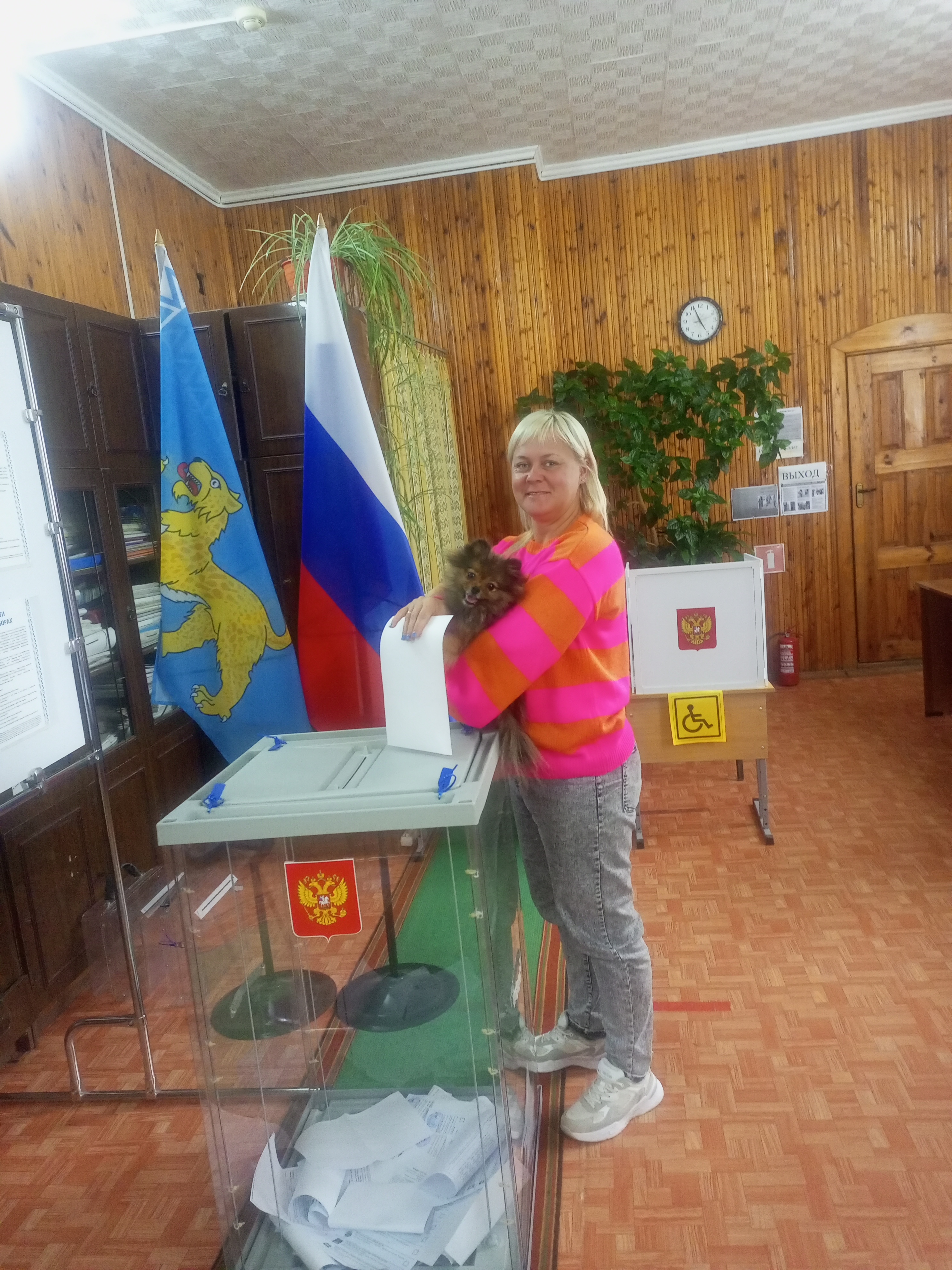 Сообщение наблюдателя — УИК №205, Псковская область