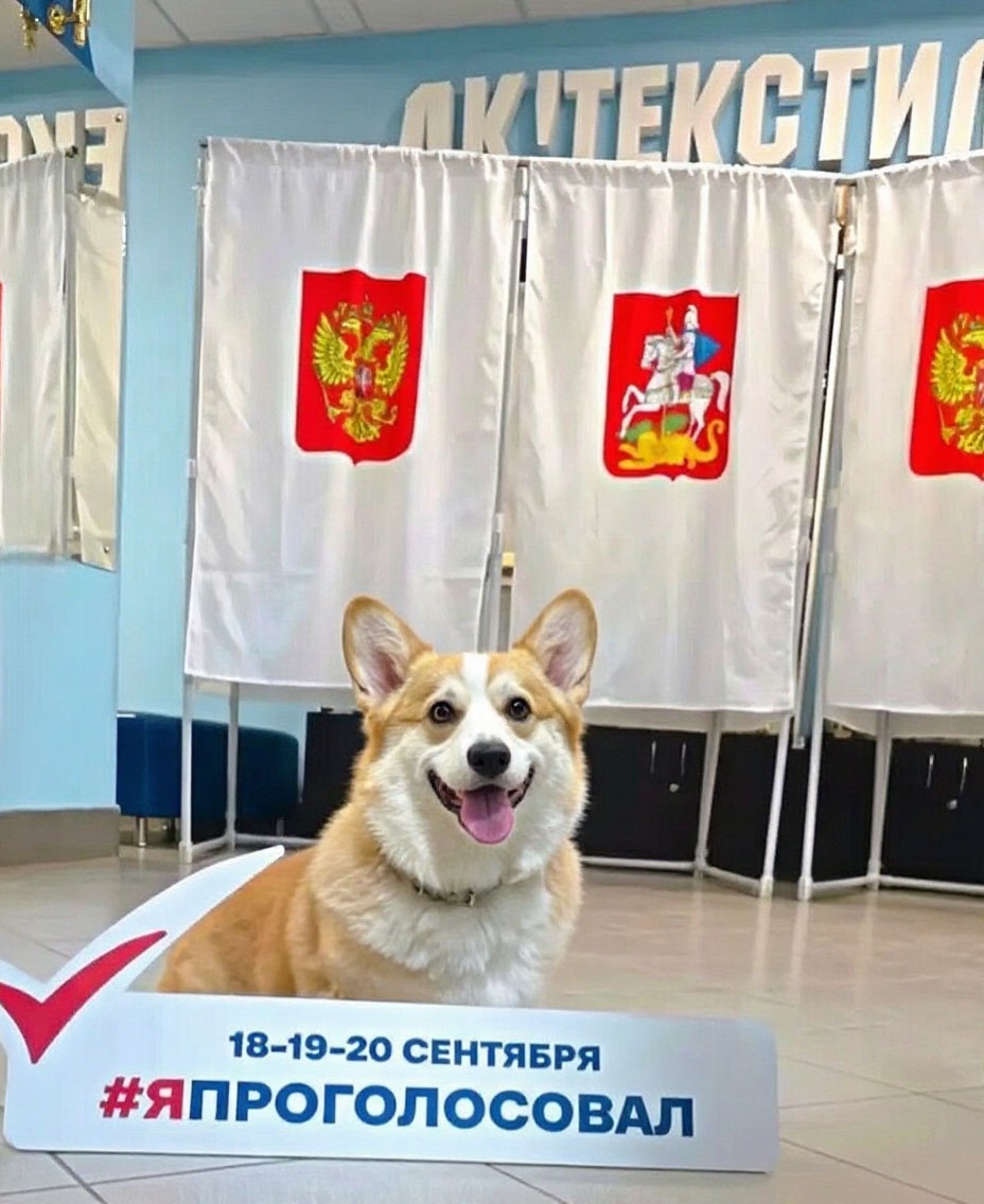 Сообщение — УИК №99, Московская область