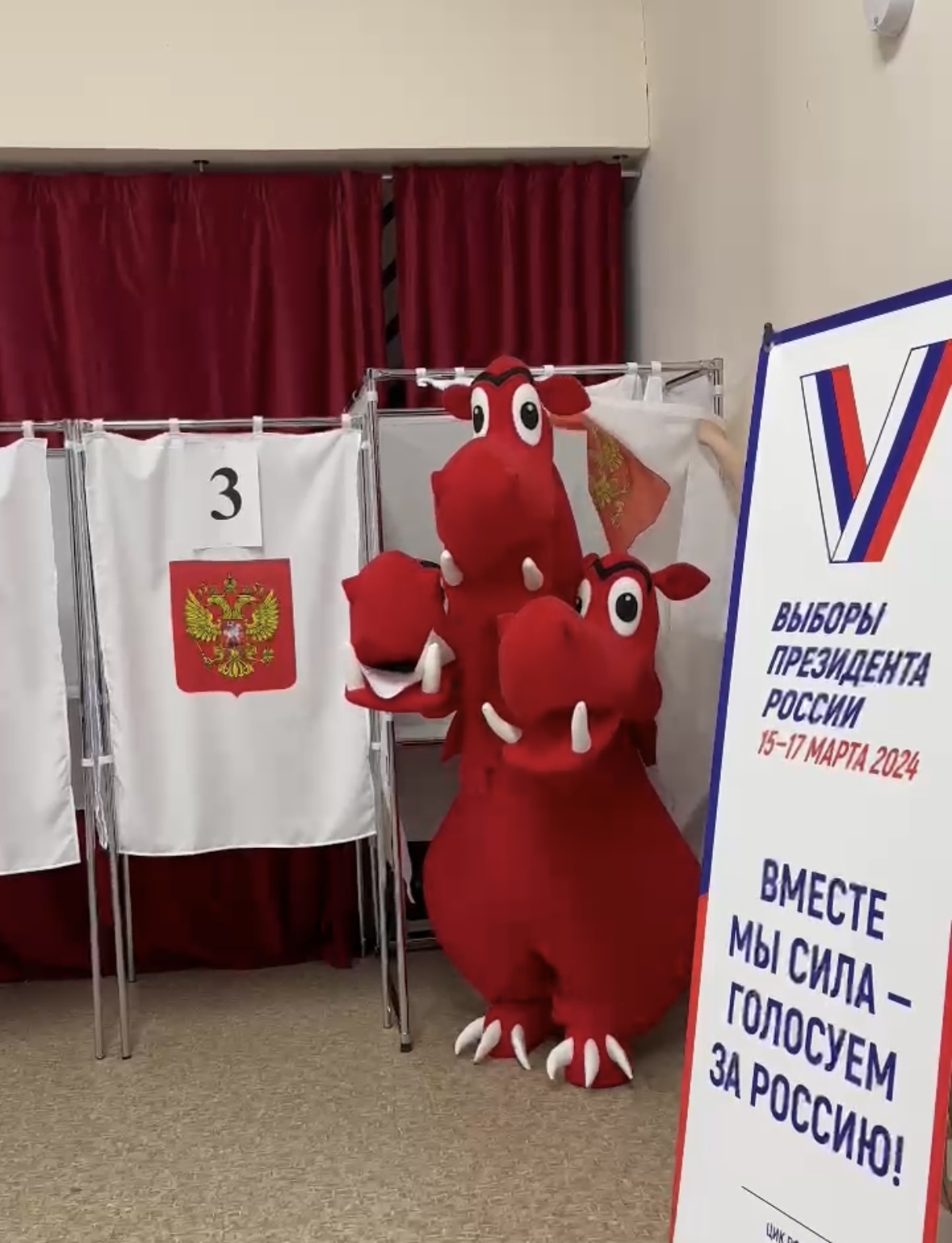 Сообщение наблюдателя — УИК №110, Камчатский край