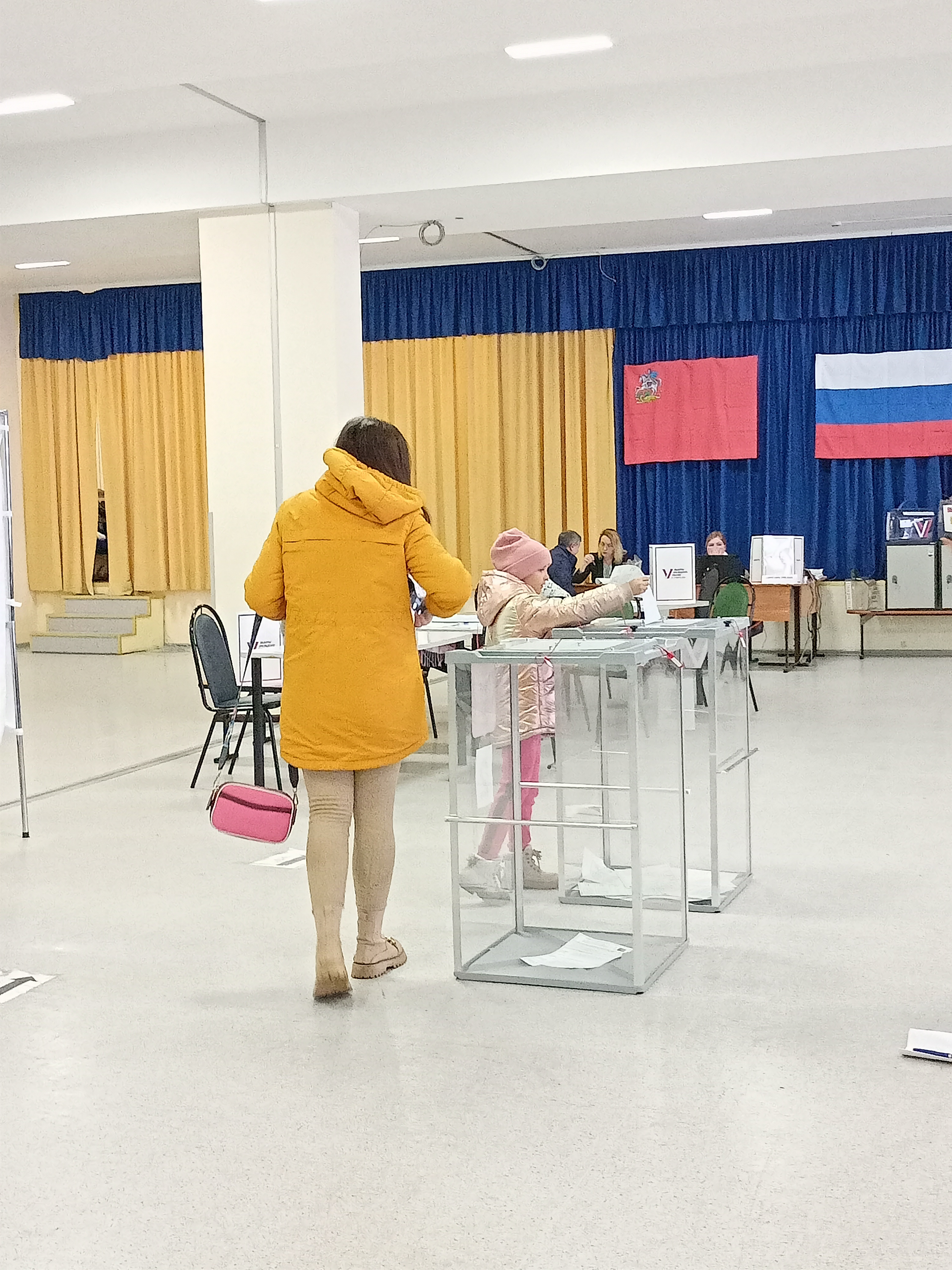 Сообщение наблюдателя — УИК №4141, Московская область